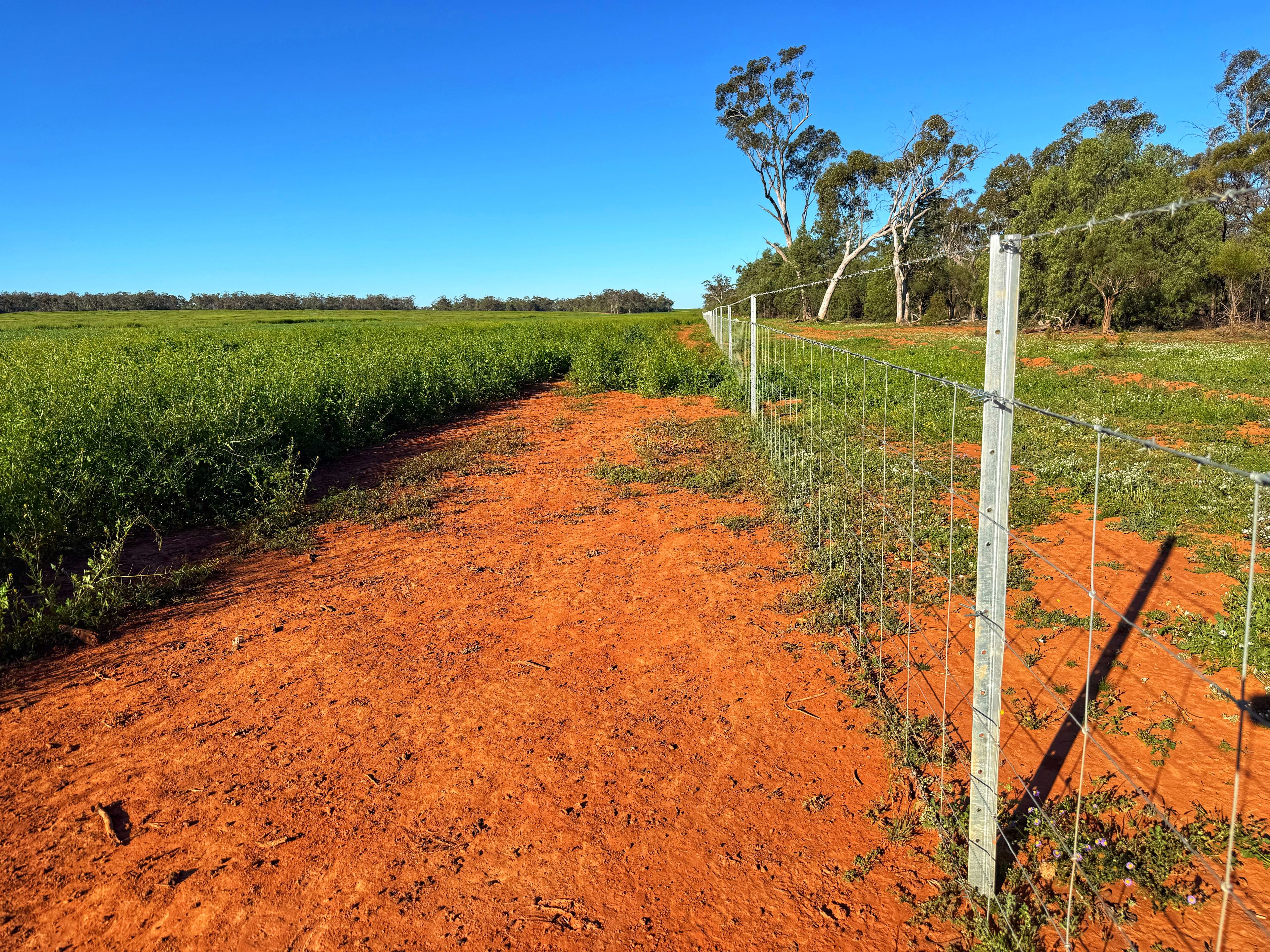 Crowie Peisley Road — photo 10 of 16