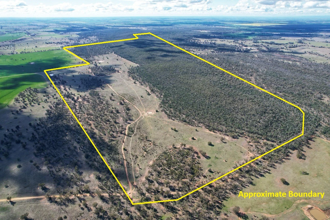 'Lesdale' Clonolly Lane, Trundle, NSW 2875