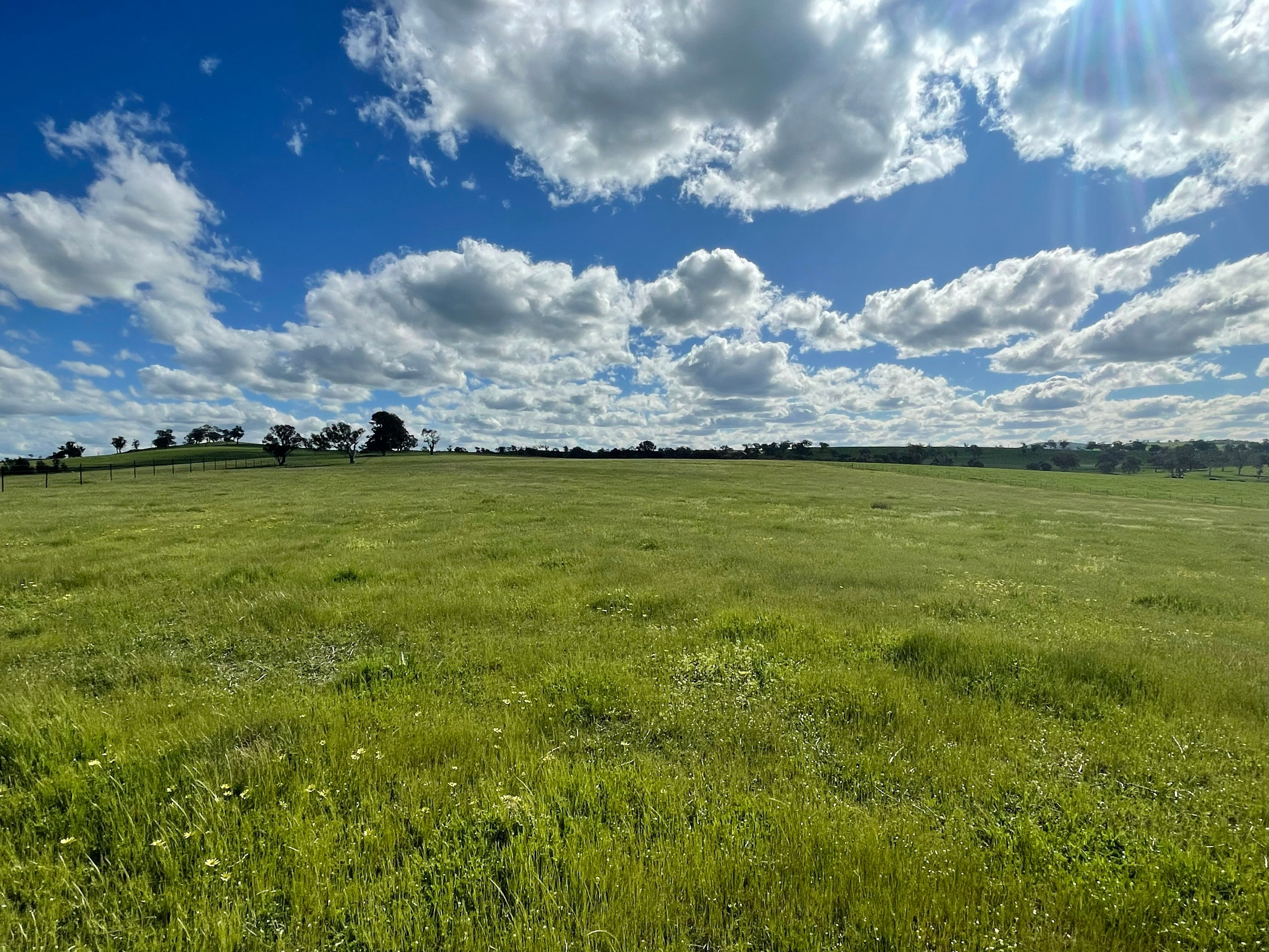 Lot 4-5 3 Cooney's Creek Road, Jugiong, NSW 2726