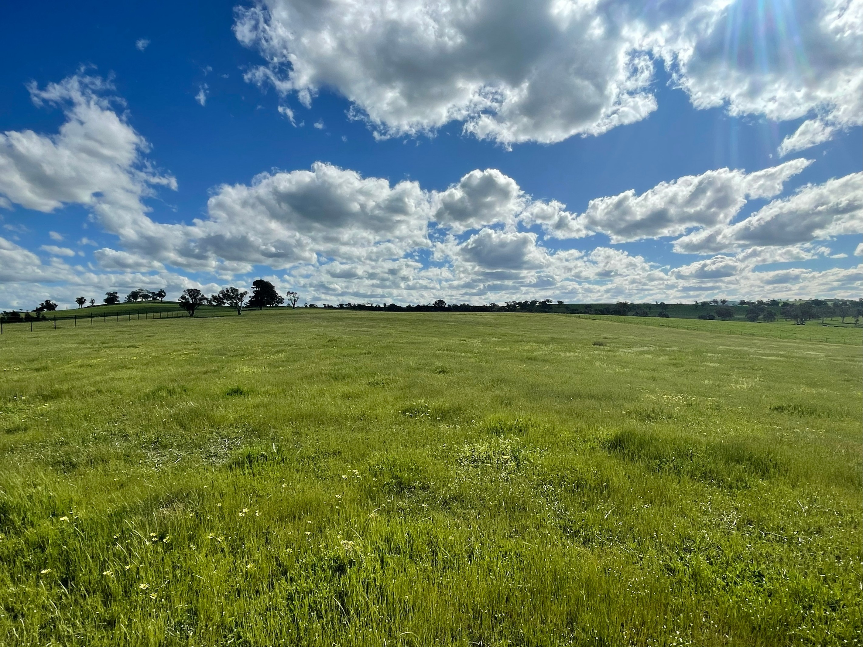 Lot 4-5 3 Cooney's Creek Road, Jugiong, NSW 2726