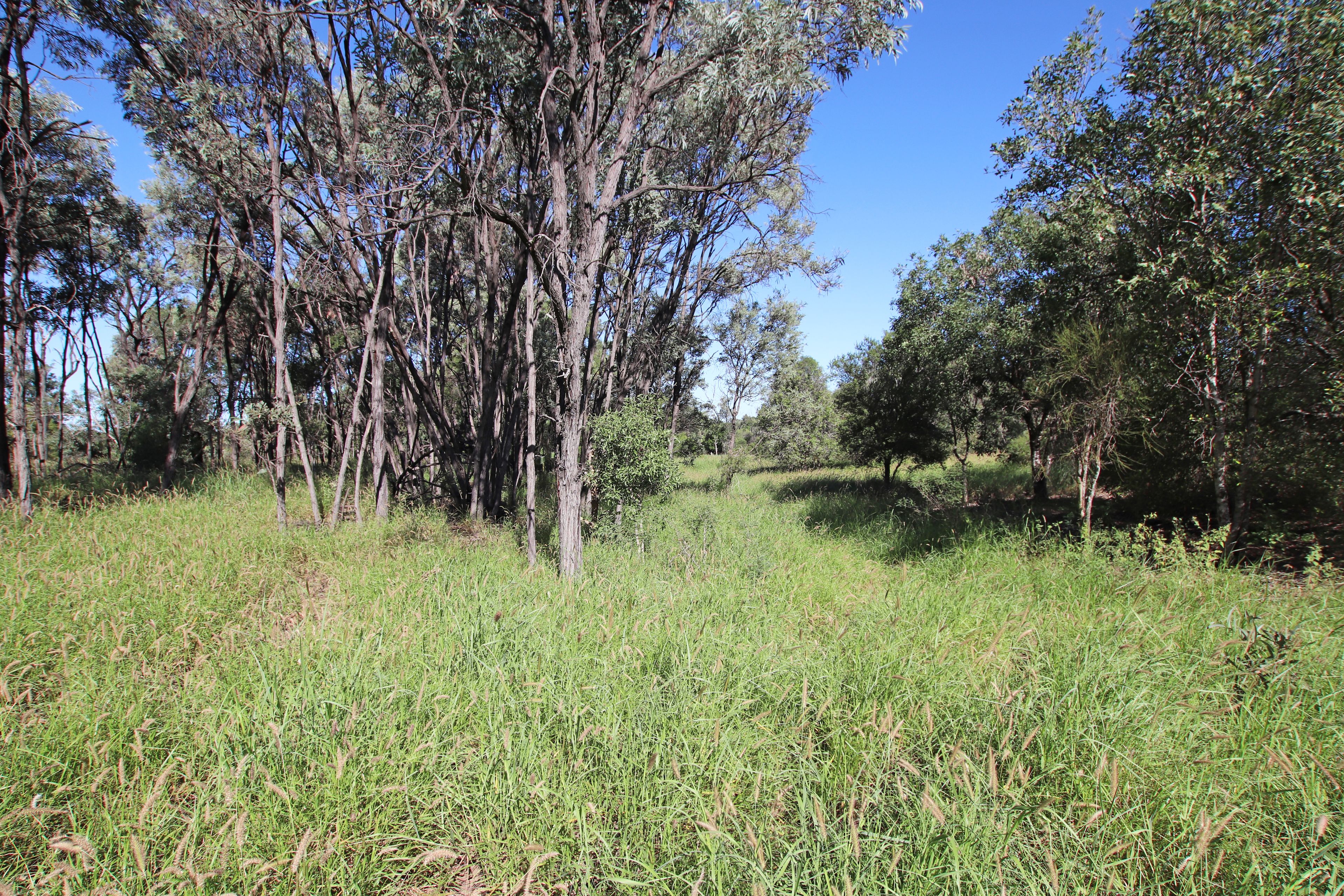 "Alaire" 161 Alaire Drive, Isla, QLD 4719