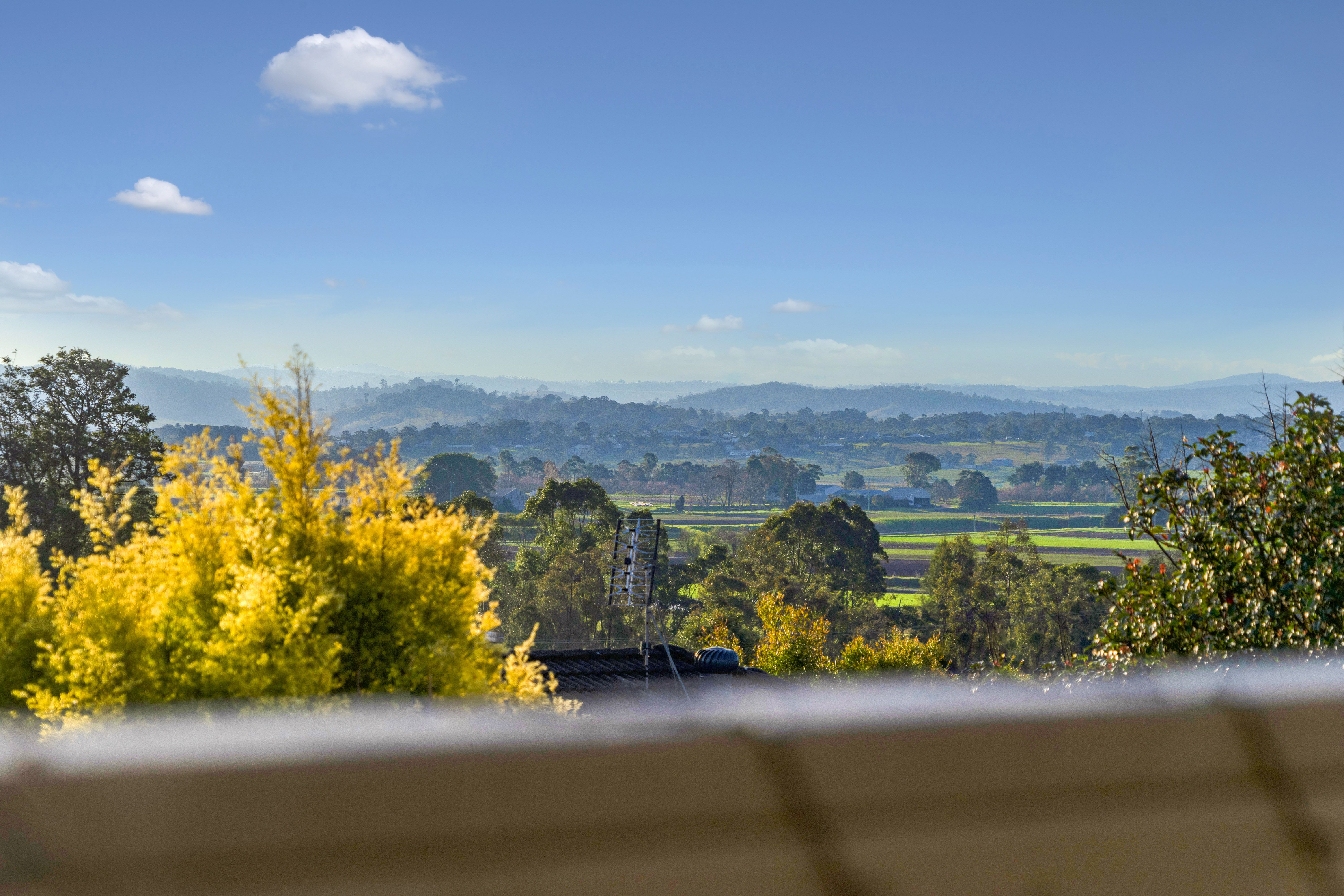 2/4 Justin Drive, Tenambit, NSW 2323