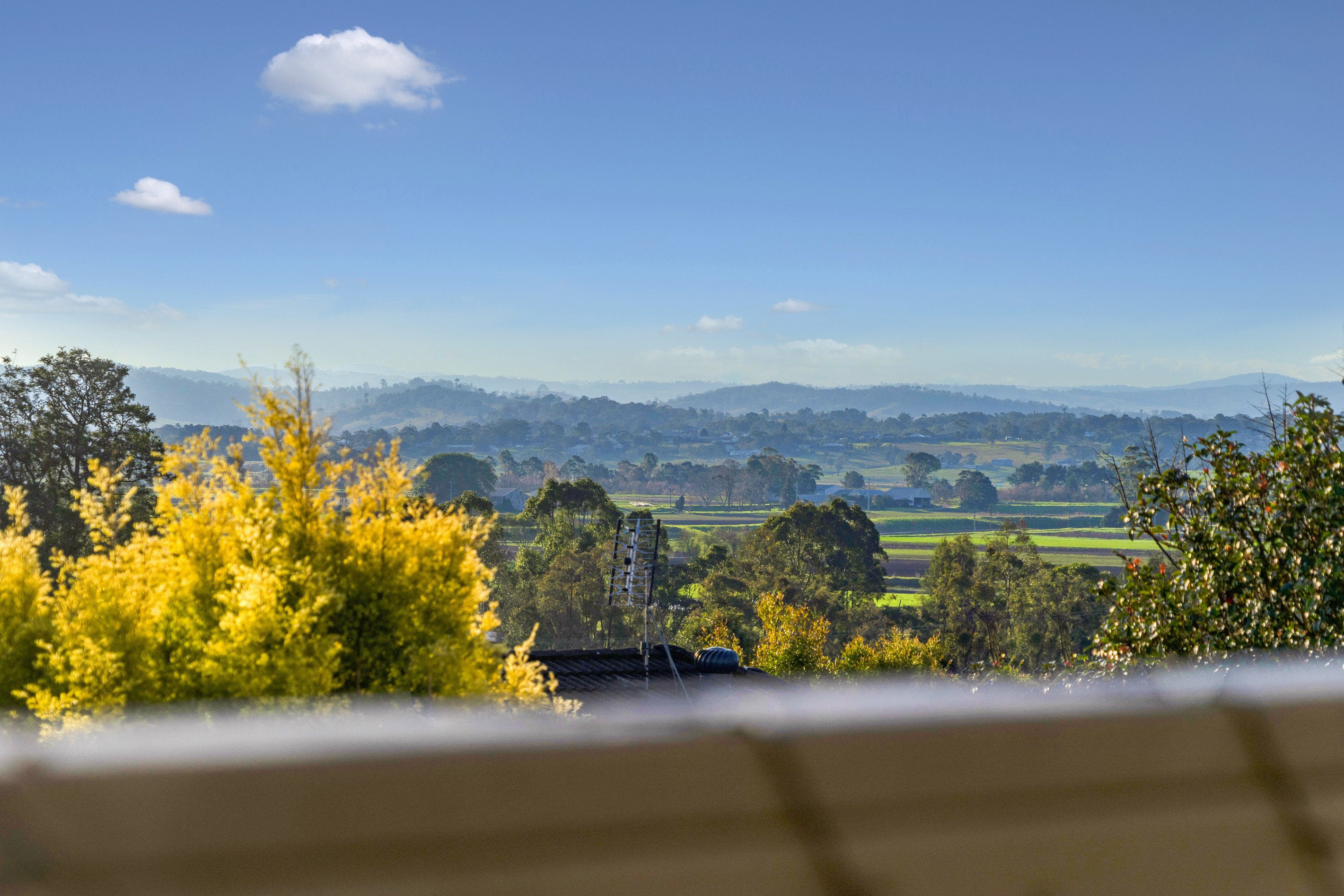 2/4 Justin Drive, Tenambit, NSW 2323