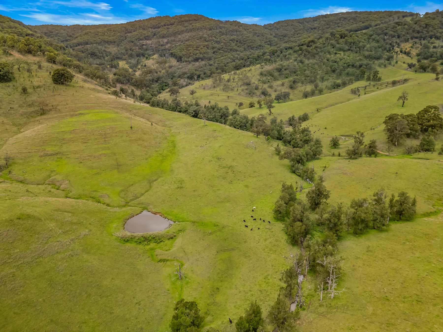Carrowbrook Road Mount Olive — photo 7 of 15