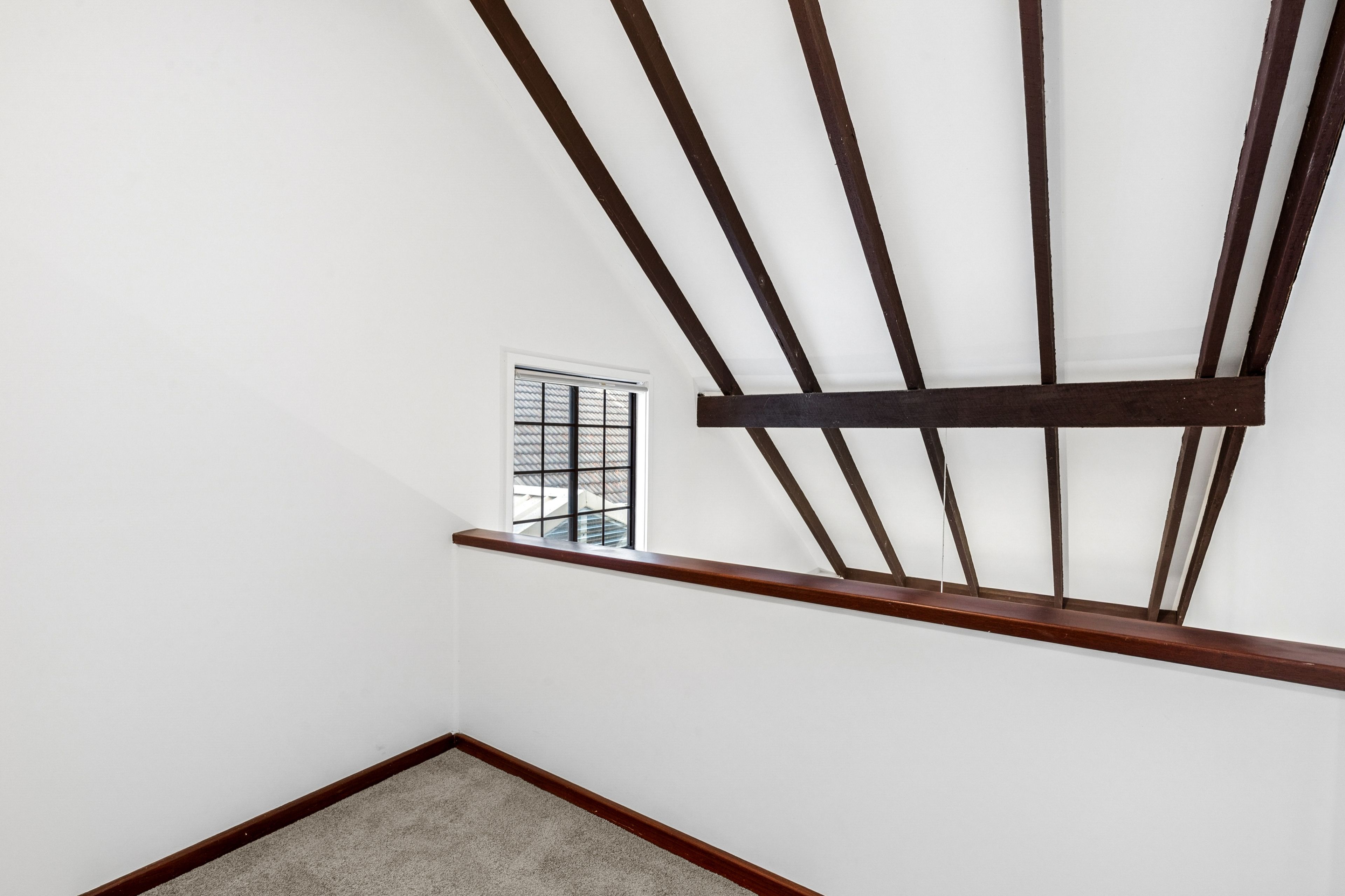 3/8 Shelley Road — photo 16 of 30