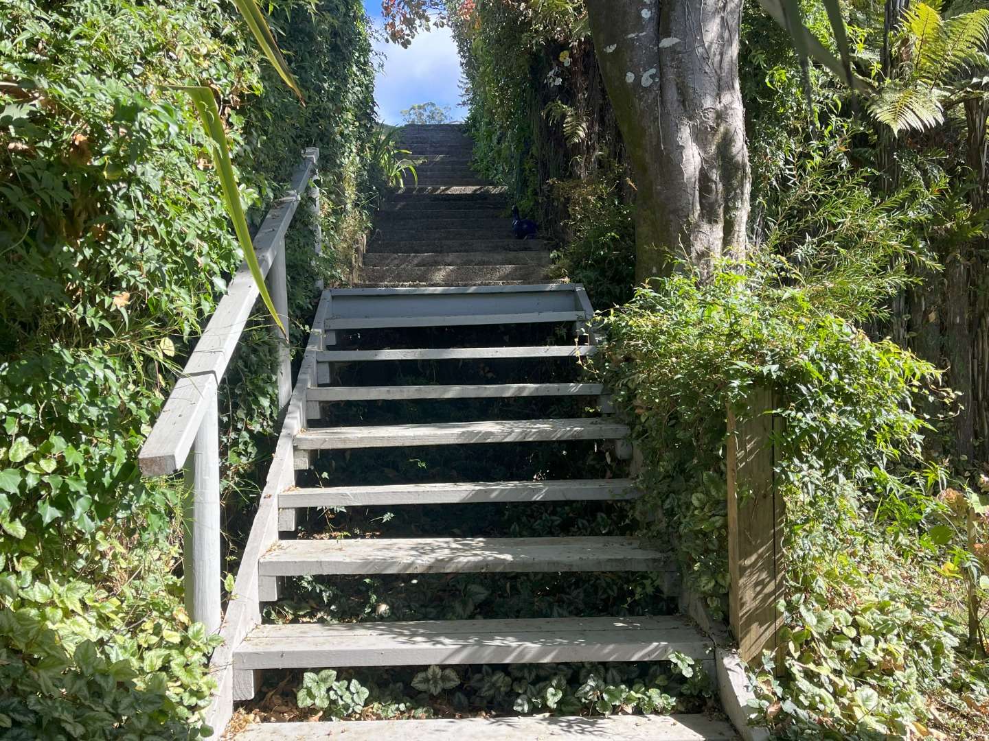 93 Wakeman Road photo 17