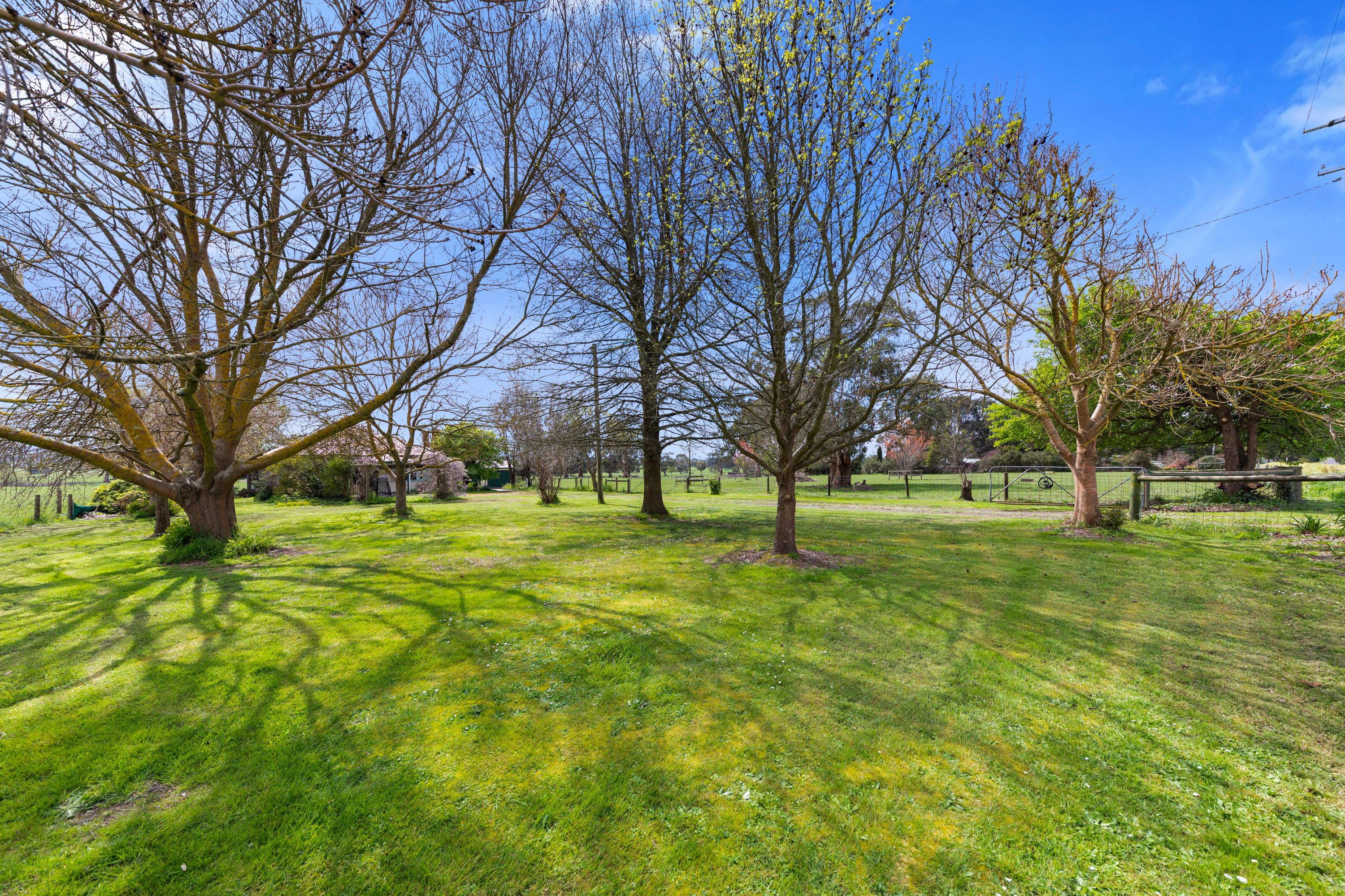 890 Hazeldean Road, Cloverlea, VIC 3822