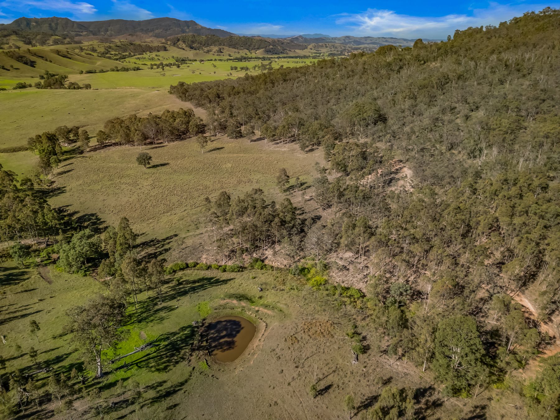 Off Goorangoola Road Greenlands — photo 7 of 19