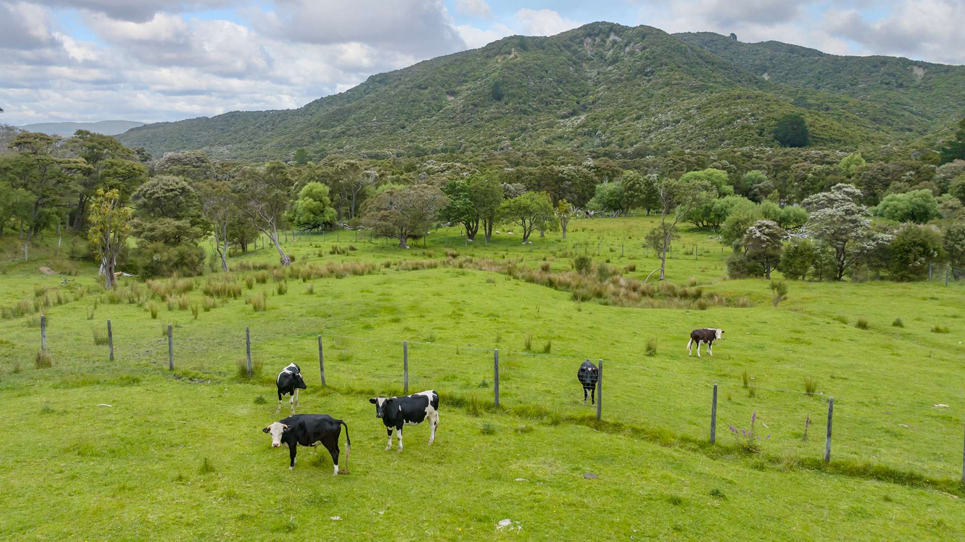 418 Kaiwaka Road photo 7