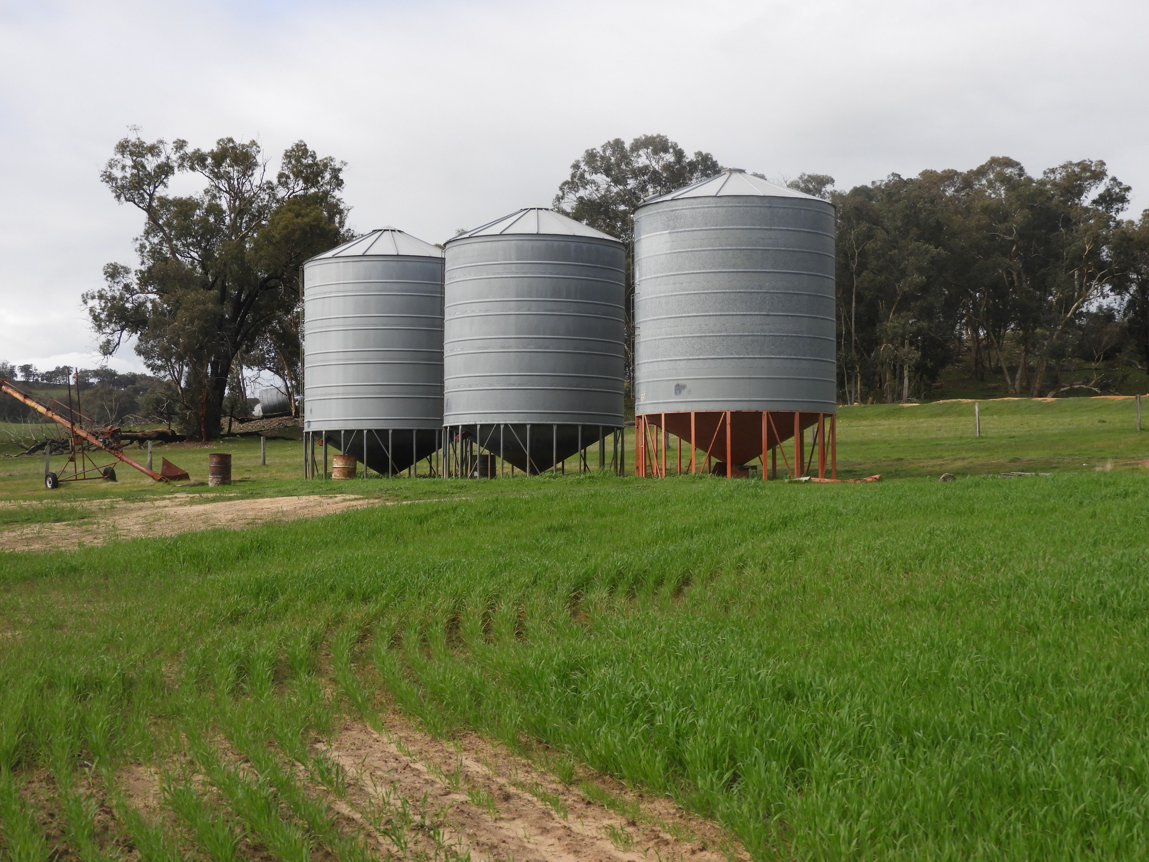 Kyellen Farm, Quindanning-Darkan Road — photo 20 of 30