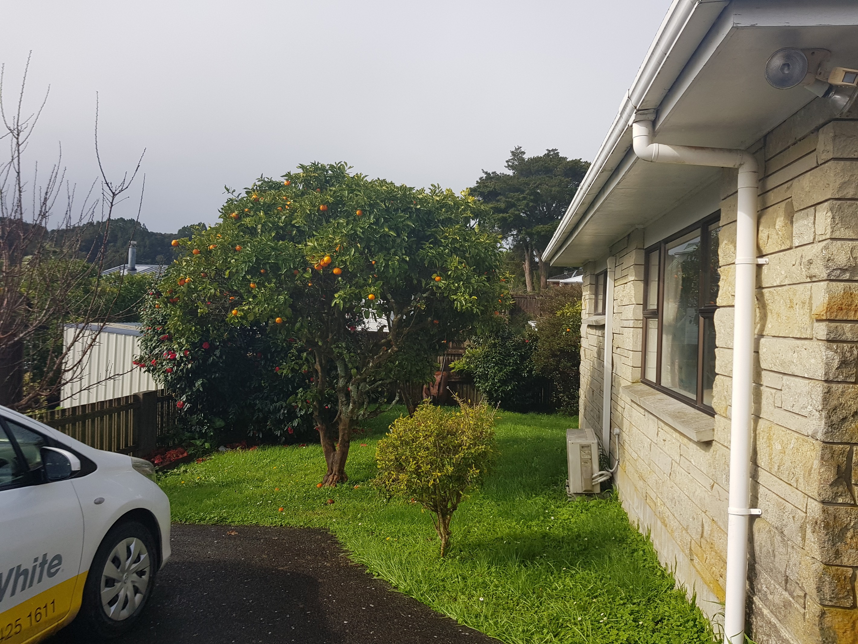 41B Alnwick Street, Warkworth, Rodney