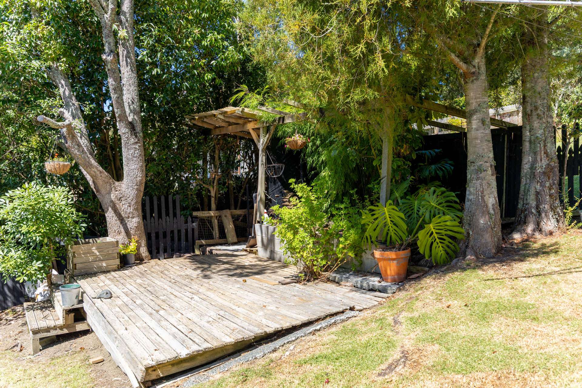 41 Lilburn Street photo 23