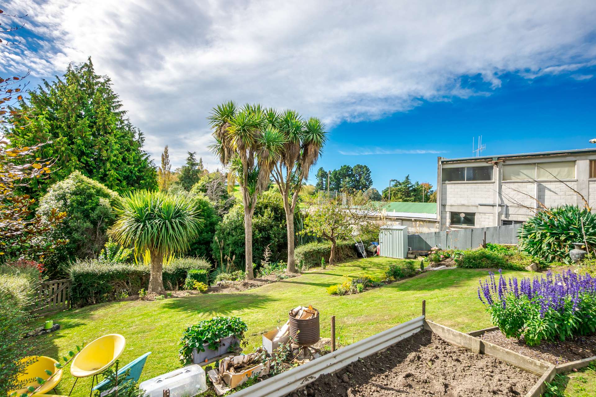 121 Douglas Street photo 16