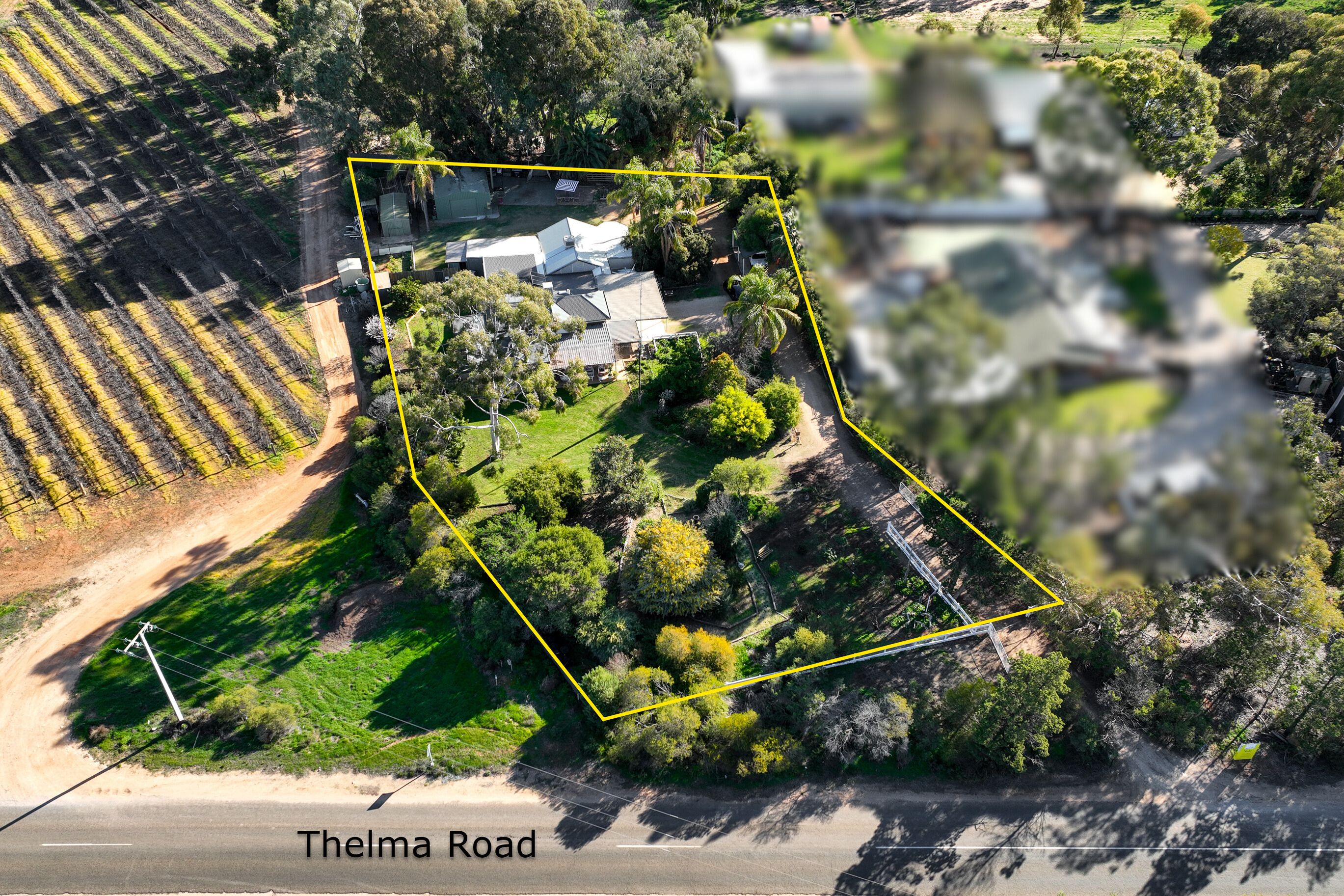 30 Thelma Road, Barmera SA 5345
