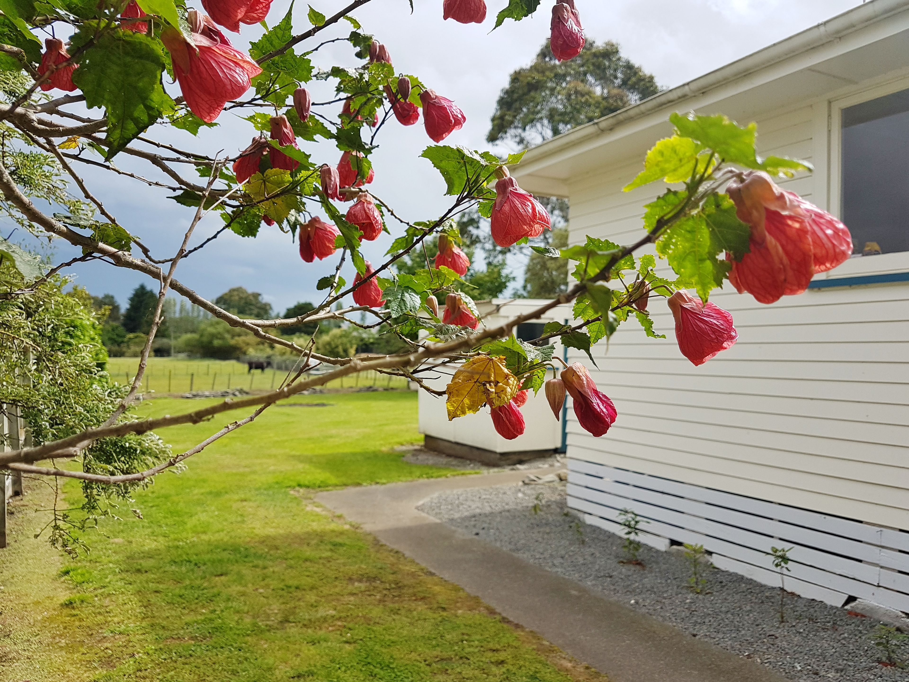 59 Owen Street, Tikokino, Central Hawke's Bay District
