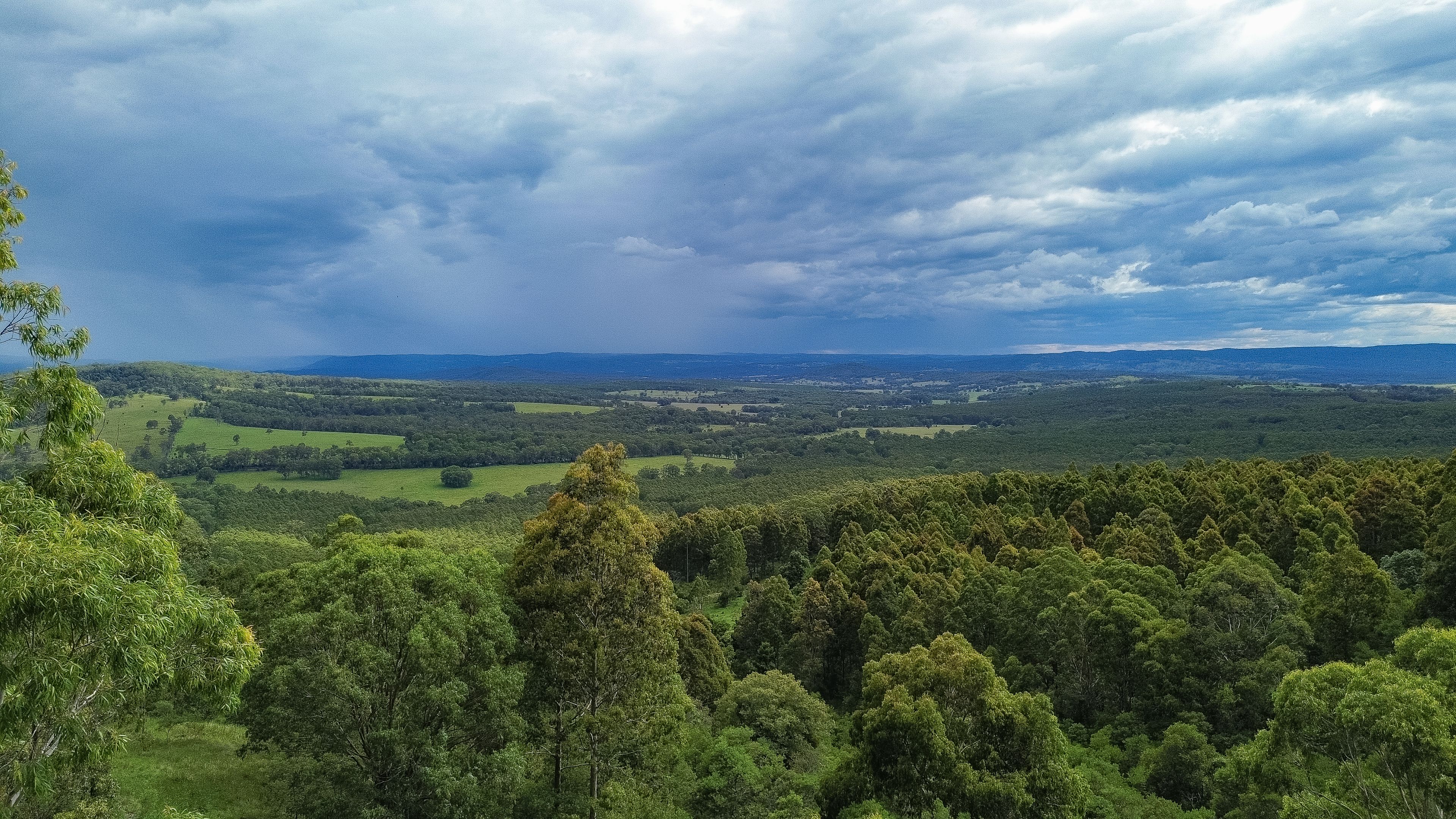 80 Tooloom Street, Legume, NSW 2476