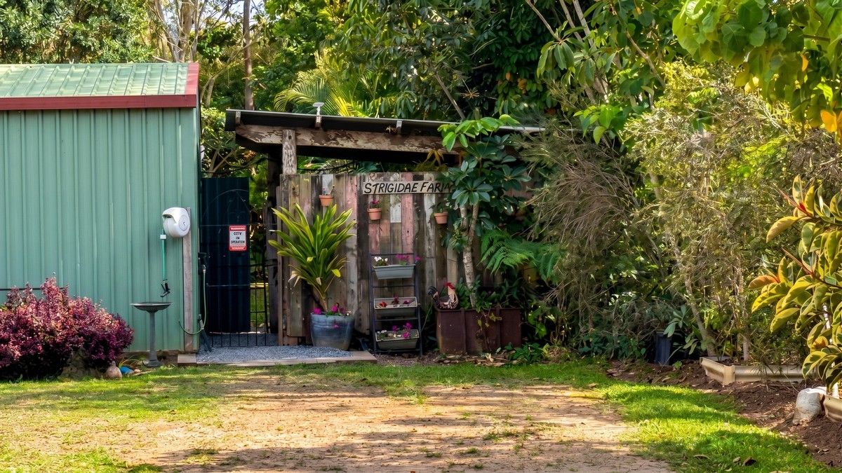 35 Carrington Road — photo 7 of 18