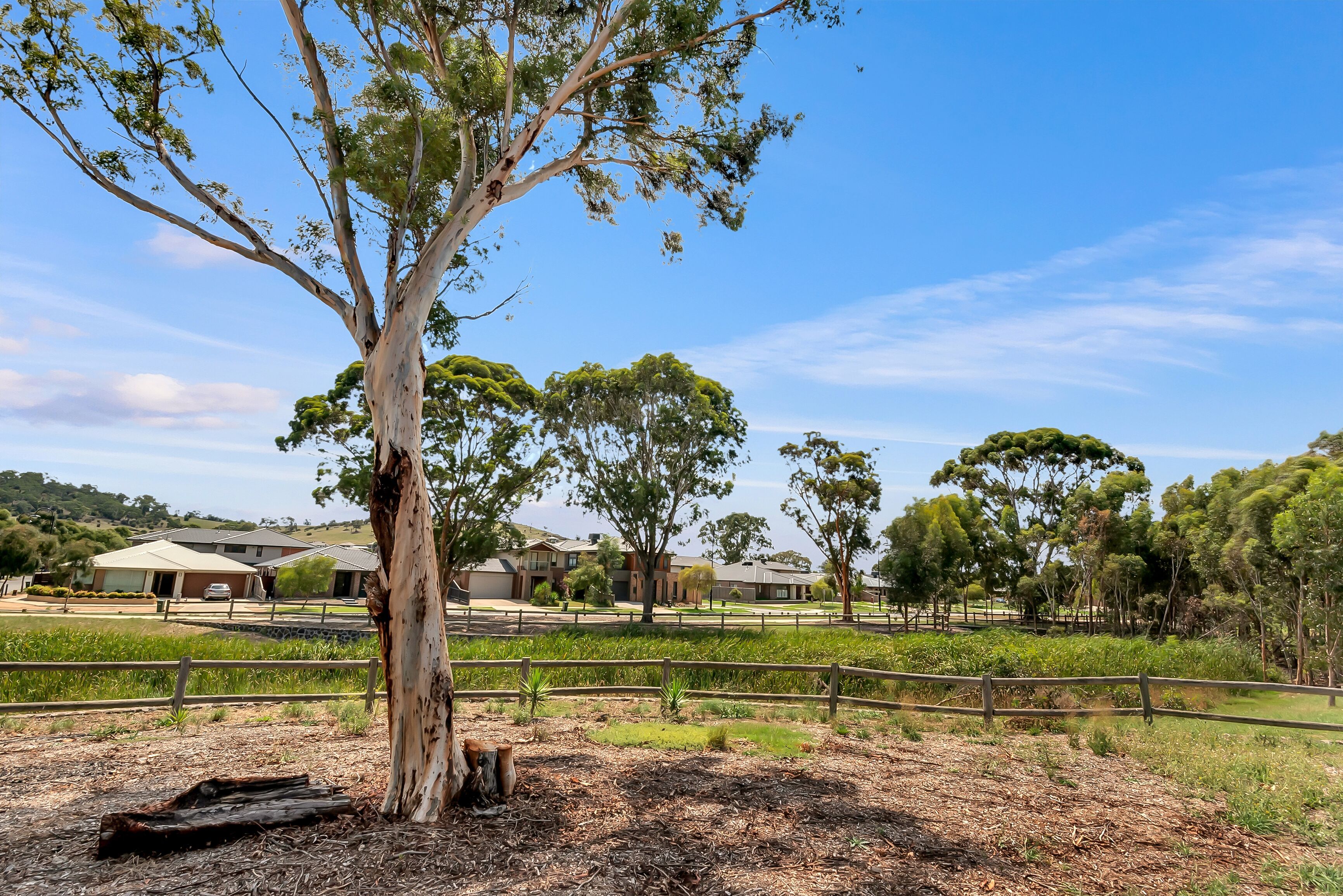 53 Applegum Drive — photo 13 of 13