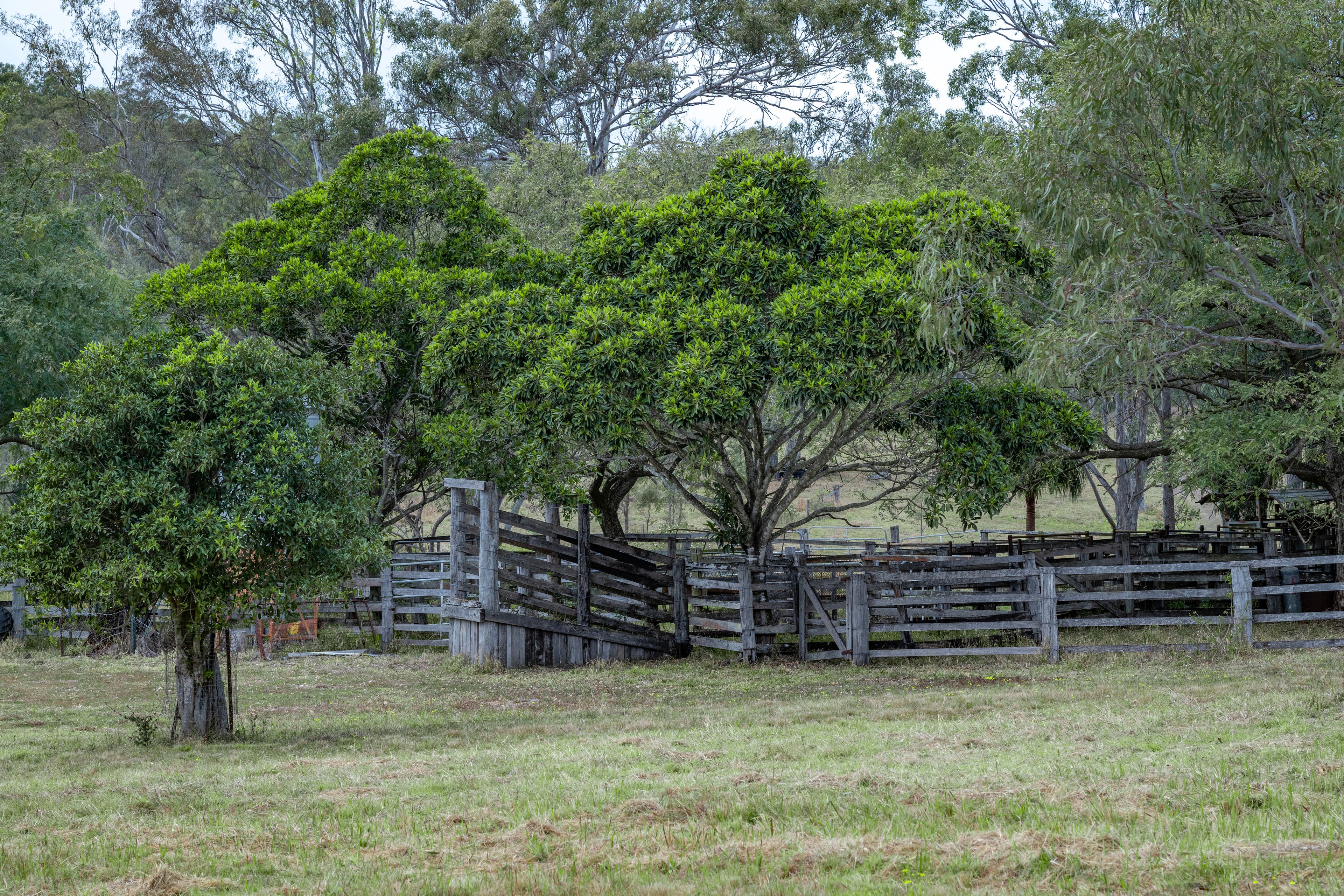 0 Cunningham Highway — photo 6 of 22