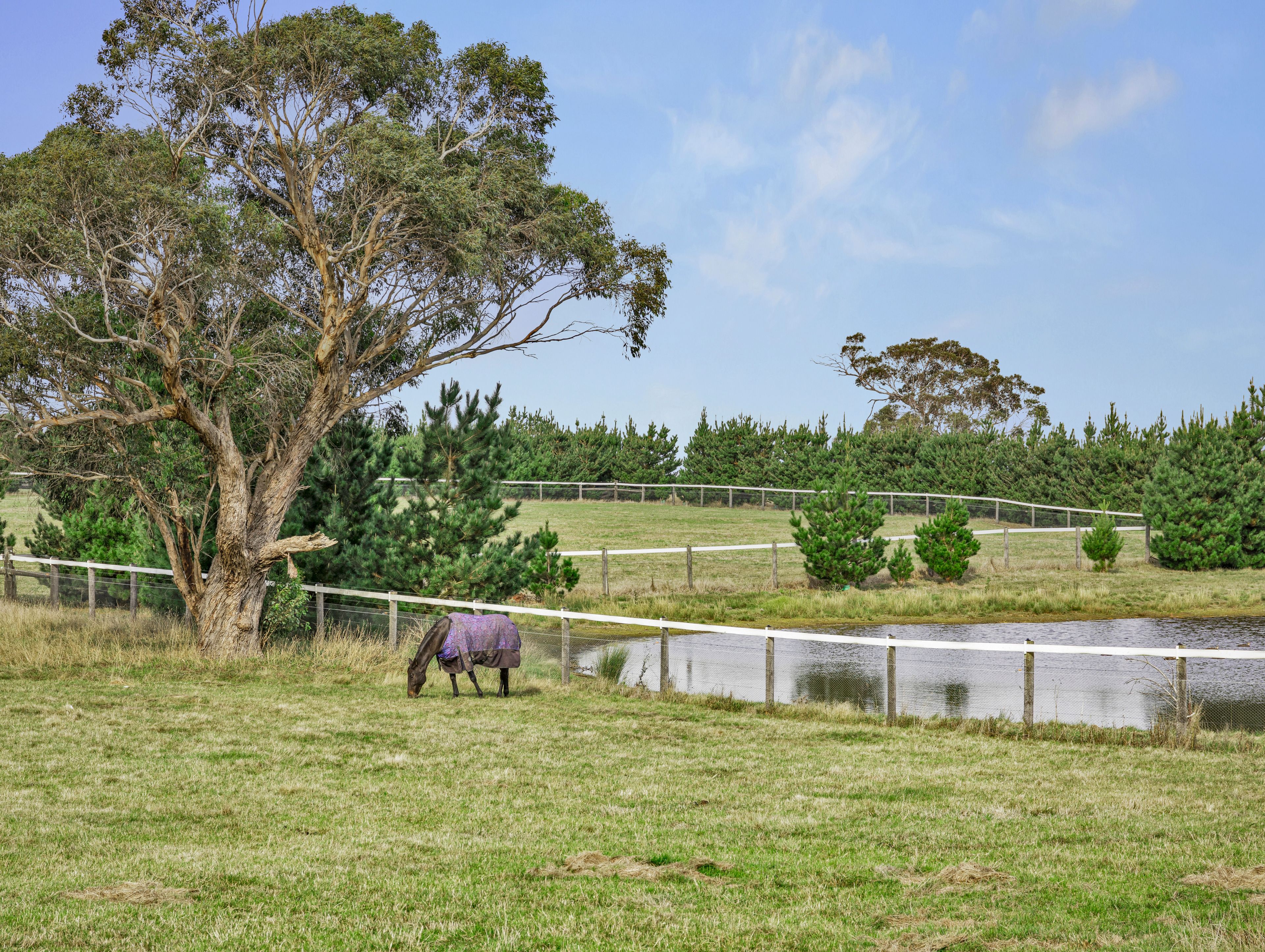 451 Beremboke Road, Beremboke, VIC 3342