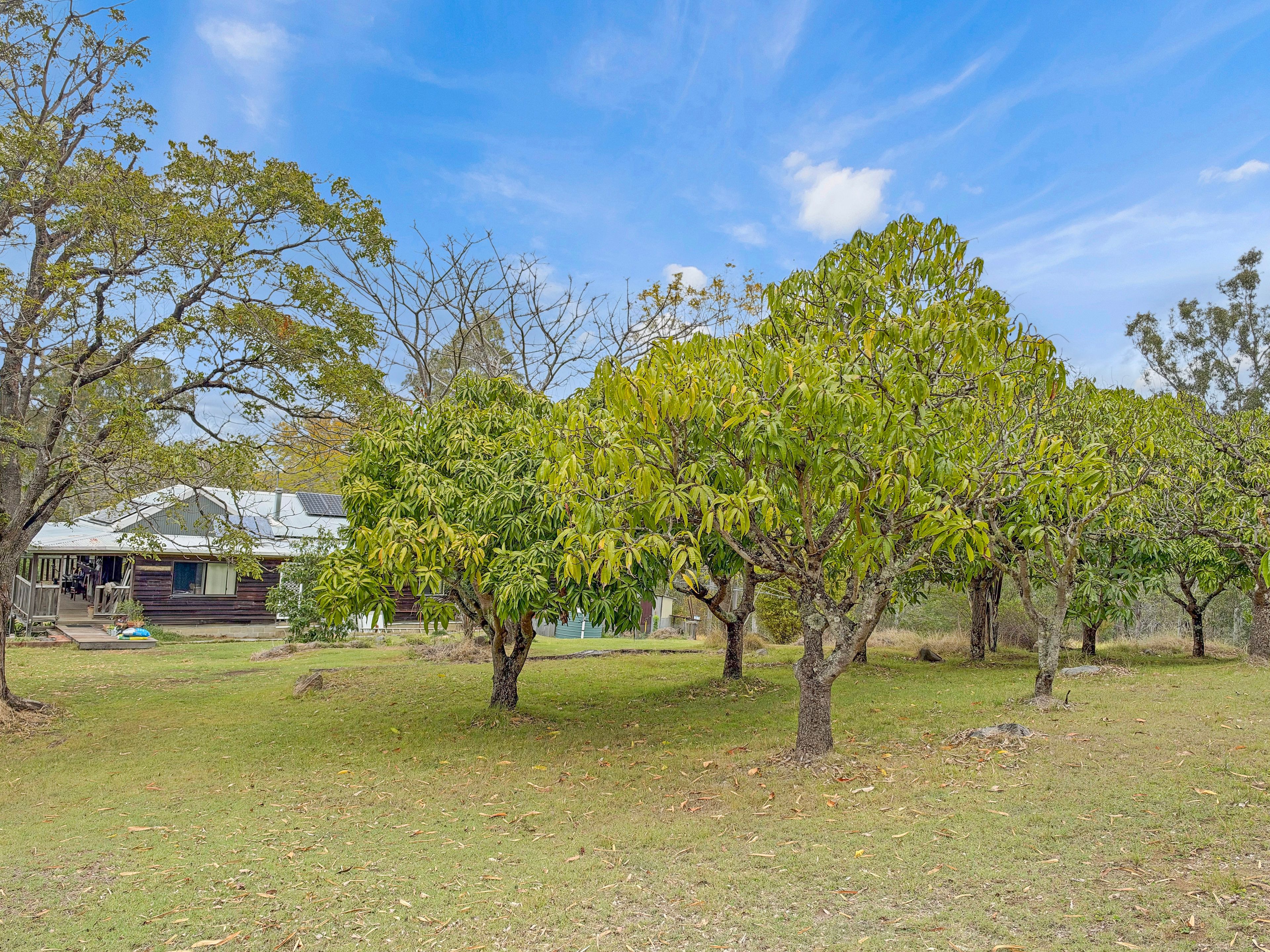 1221B Paddys Flat Road — photo from Ray White Casino | Kyogle