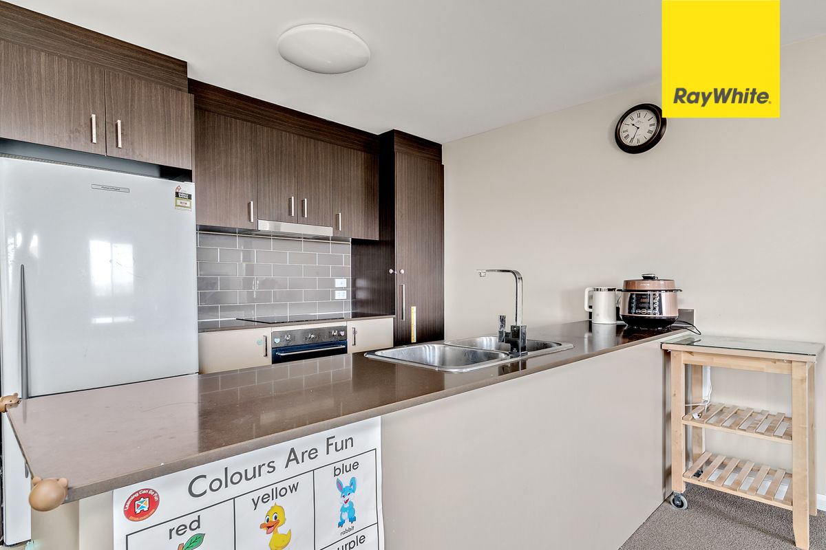 8/3 Clare Burton Crescent, Franklin, ACT 2913
