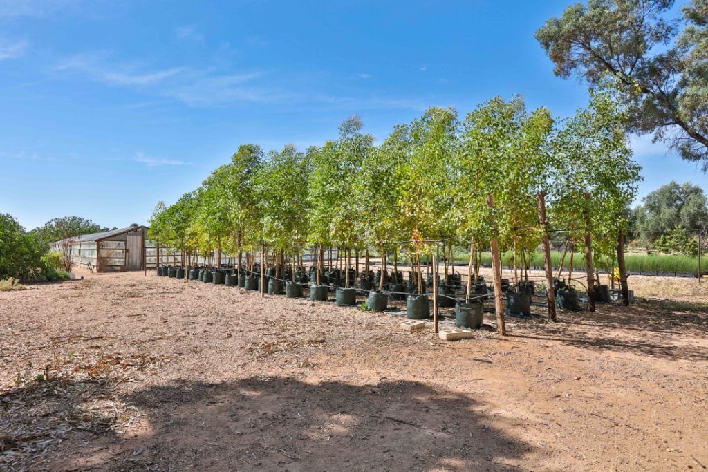 30 Rural Drive, Mildura, VIC 3500