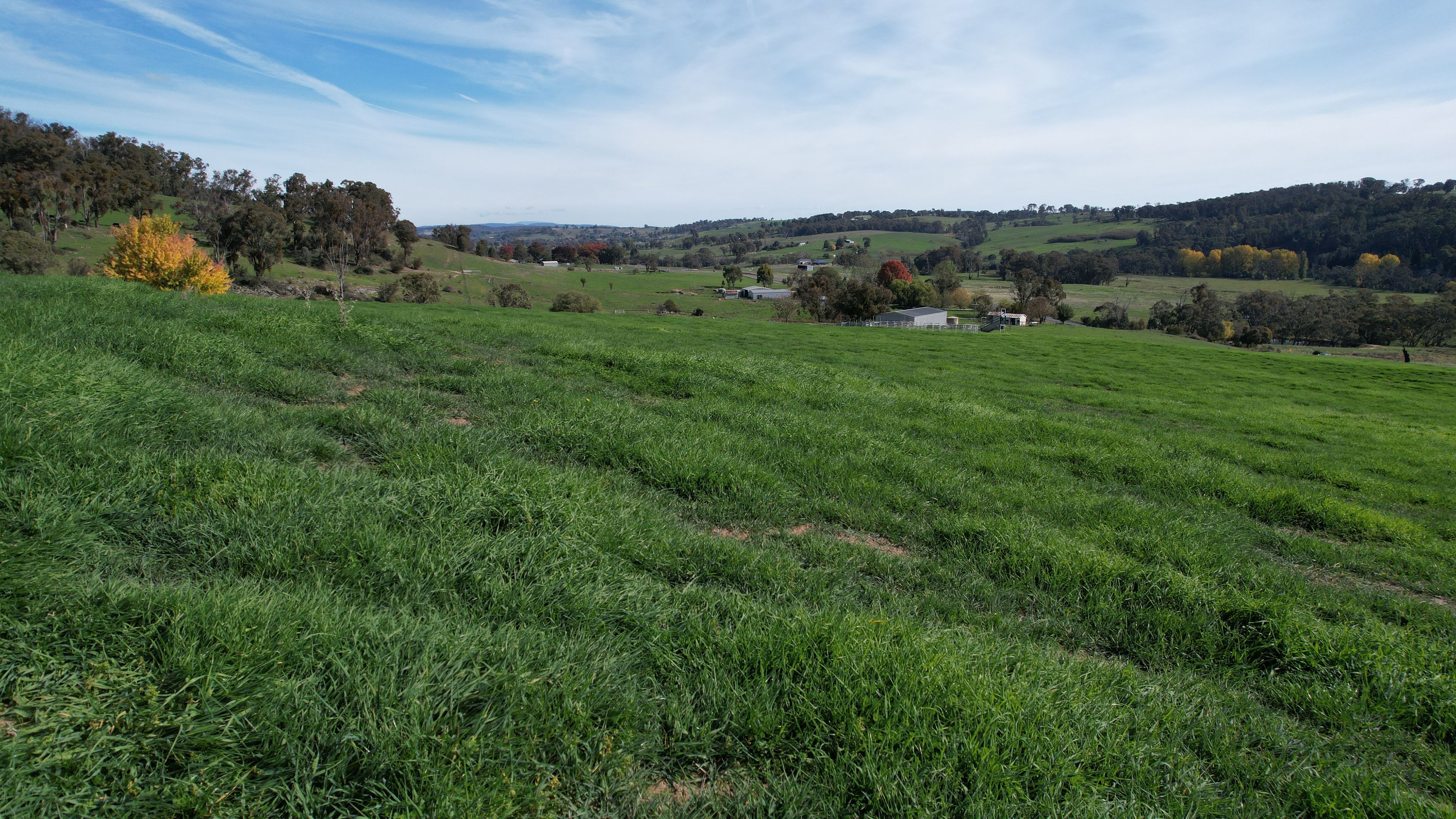 580 Batlow Road — photo from Ray White Rural Tumbarumba