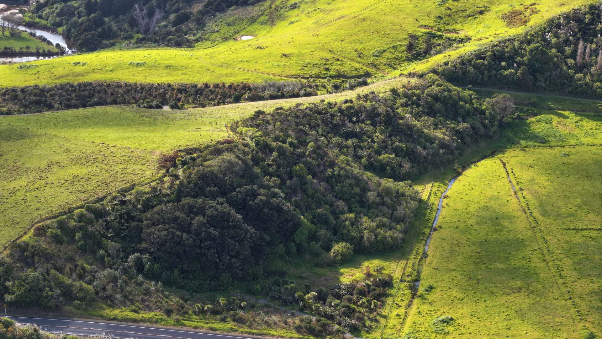 Lot 1 State Highway 10 photo 5