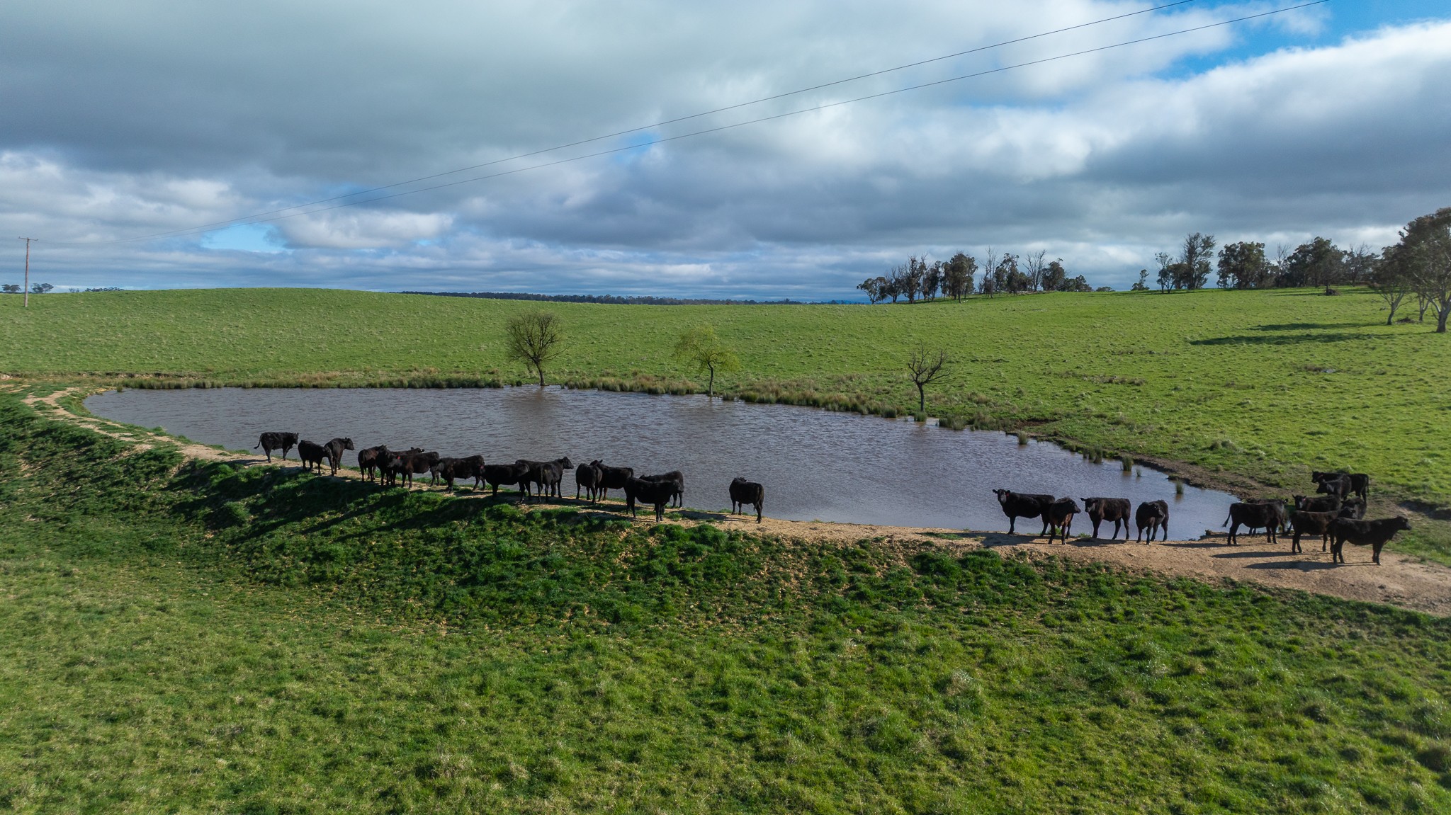 'Ardaminga' 313 Mihi Road, Mihi, NSW 2358