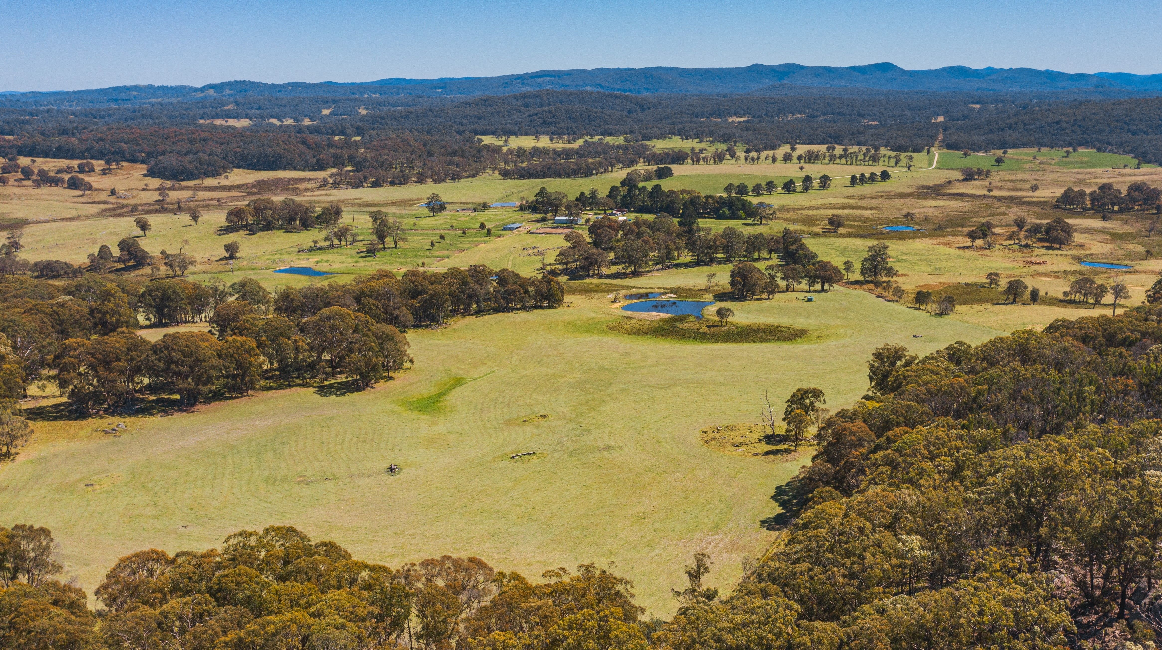 12343 Gwydir Highway, Glen Elgin, NSW 2370 Sold Rural Mixed Farming