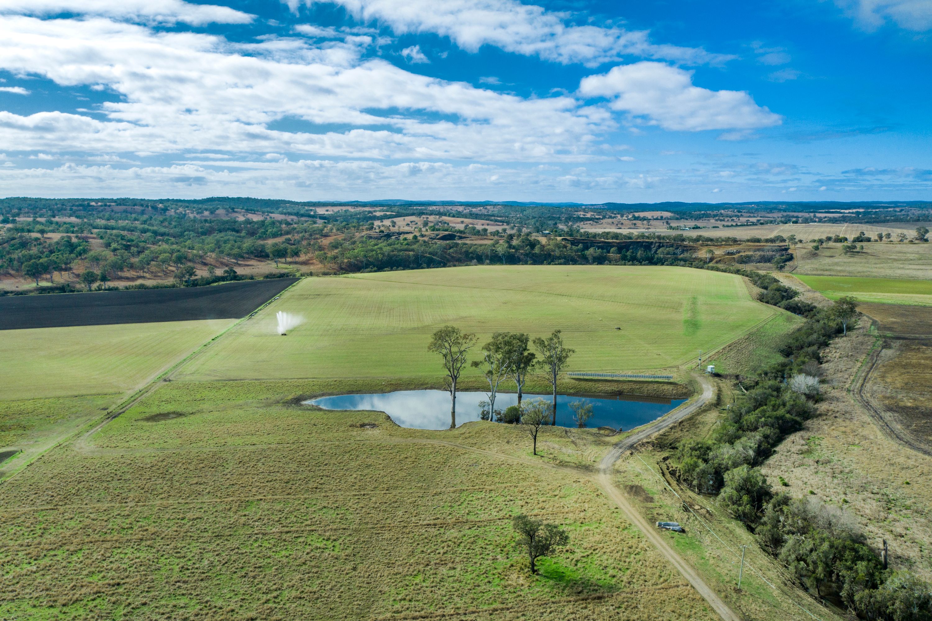 Ray White Rural Queensland