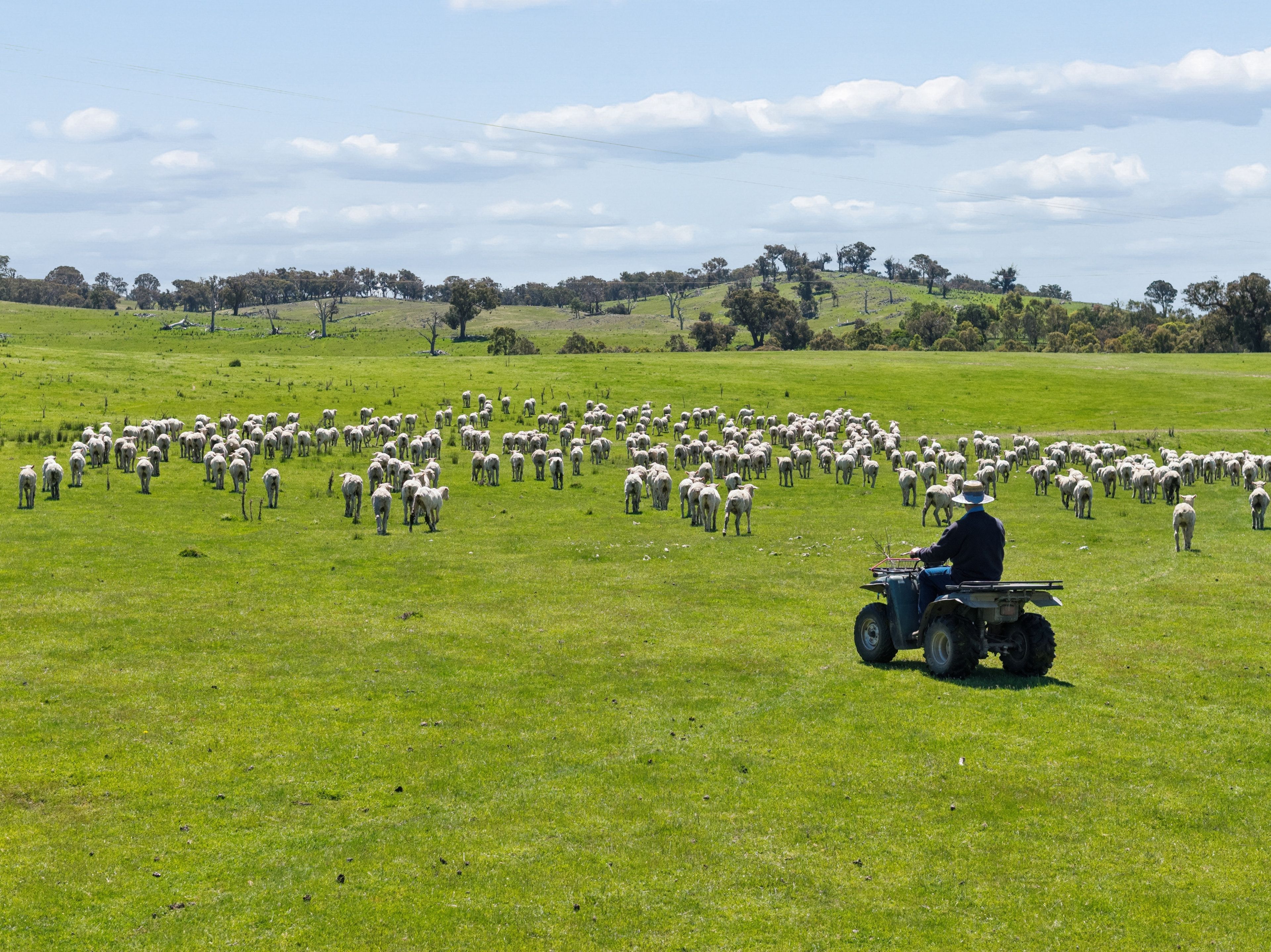 "Banjo's", 28238 Hume Highway — photo 8 of 26