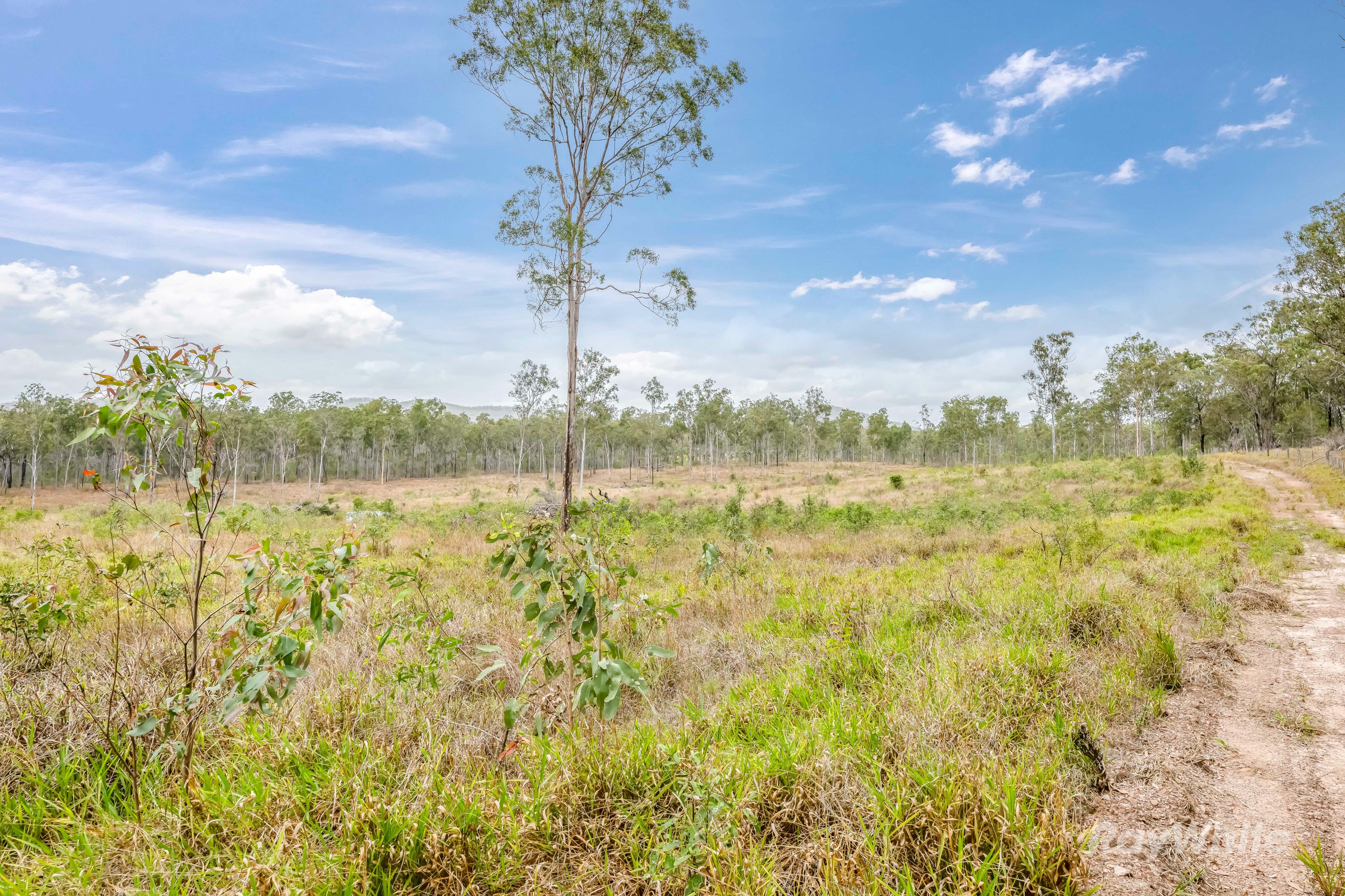 Lot 43 Moolyung Road — photo 16 of 29