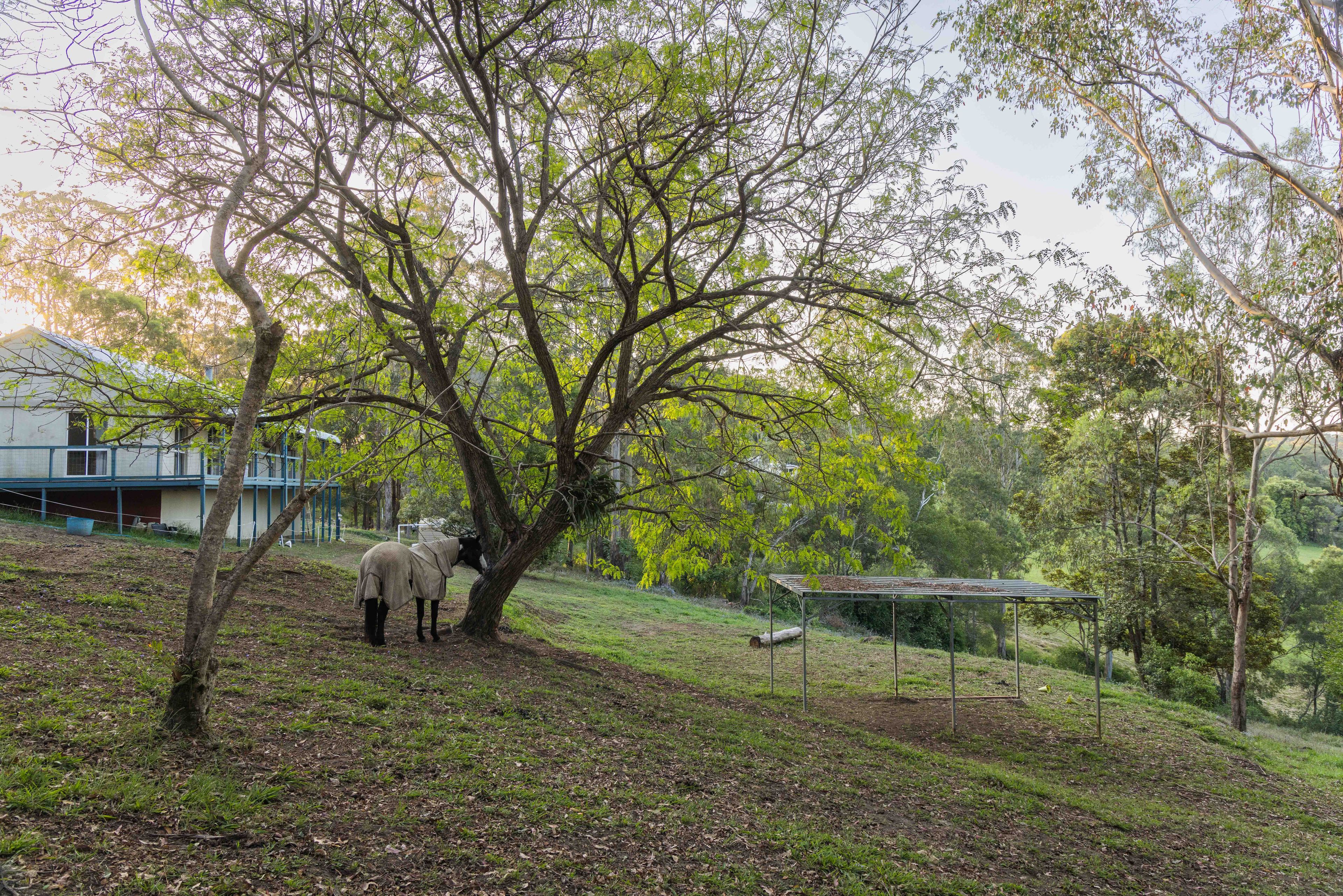 8 Seaview Court, Ocean View, QLD 4521