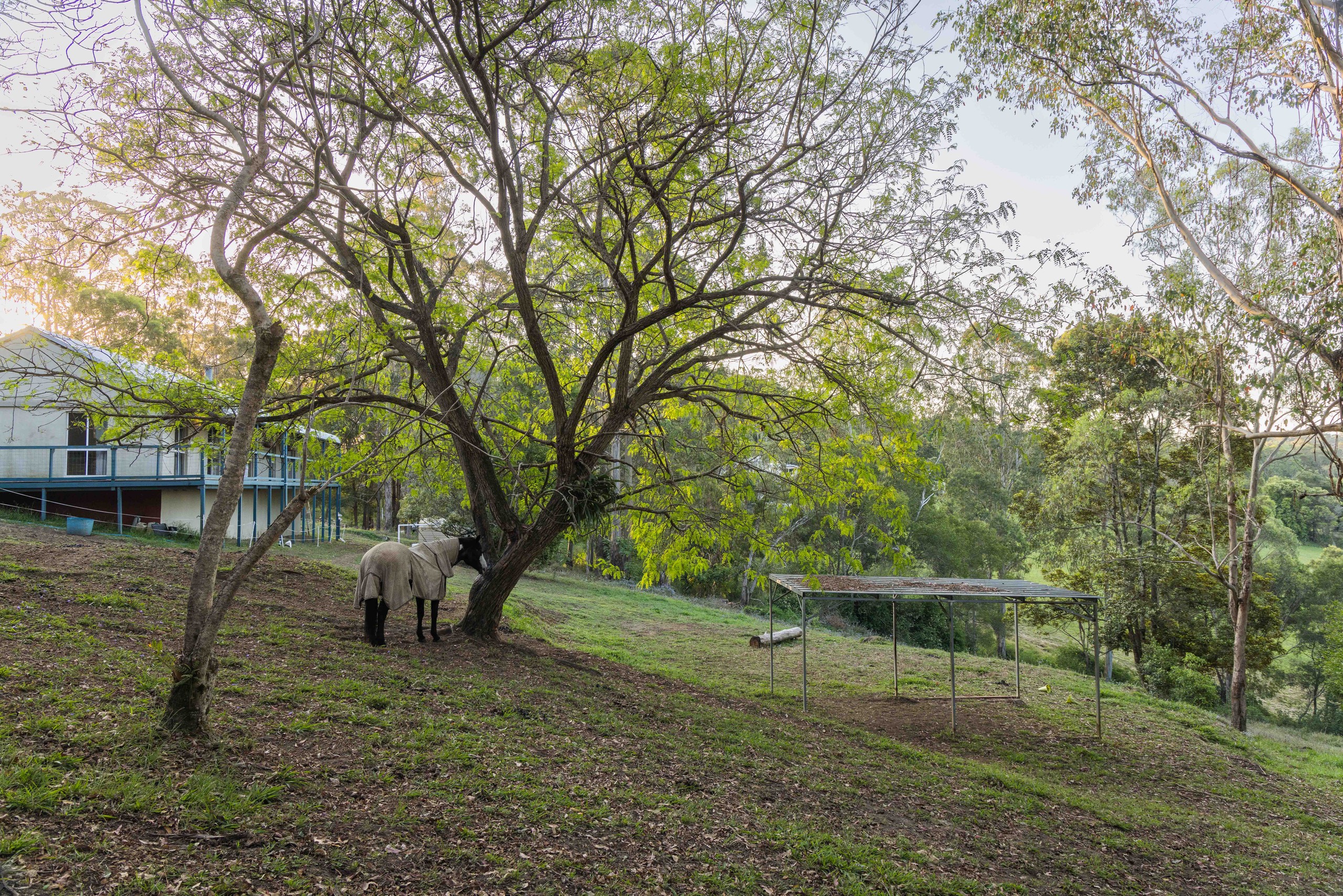 8 Seaview Court, Ocean View, QLD 4521