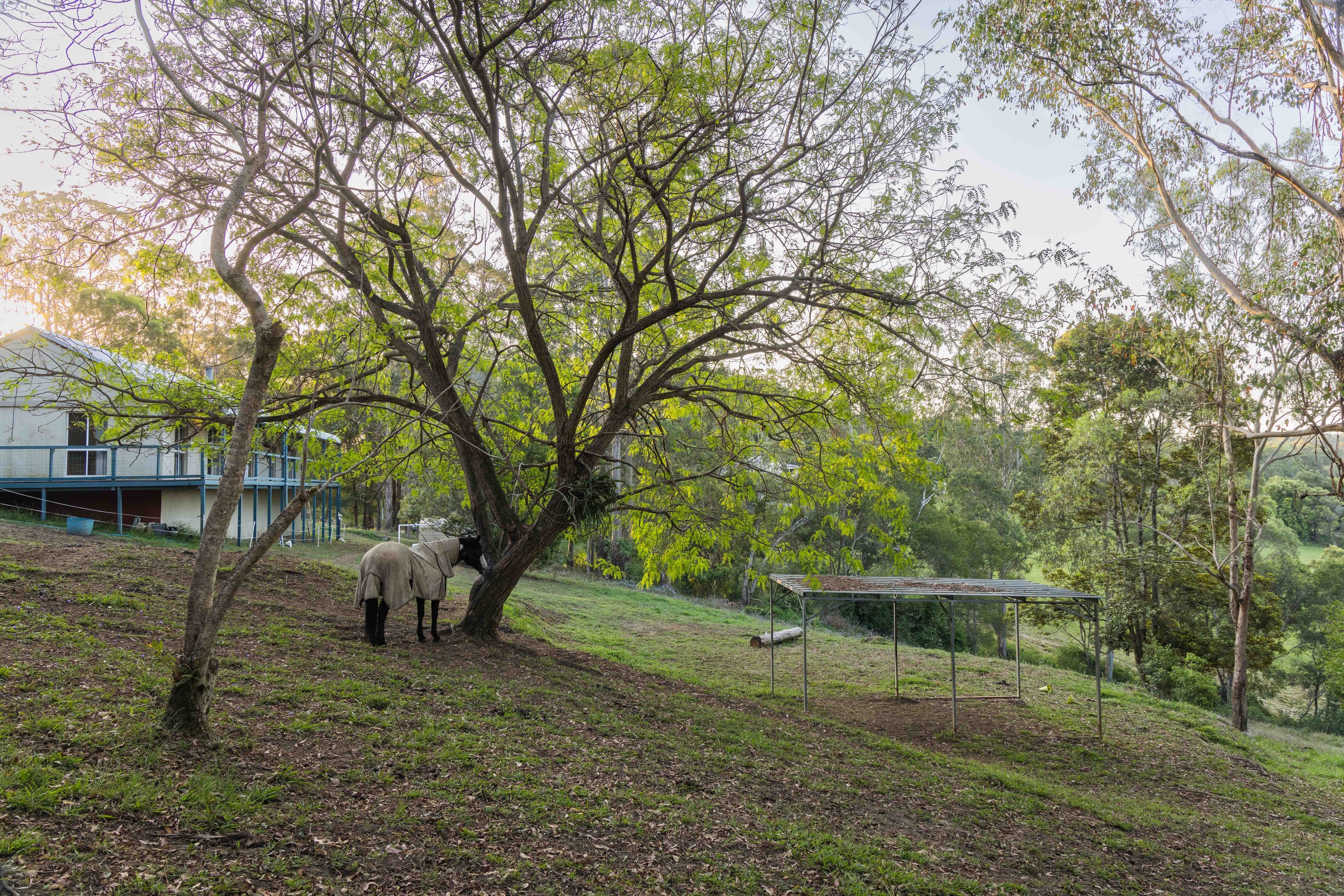 8 Seaview Court, Ocean View, QLD 4521