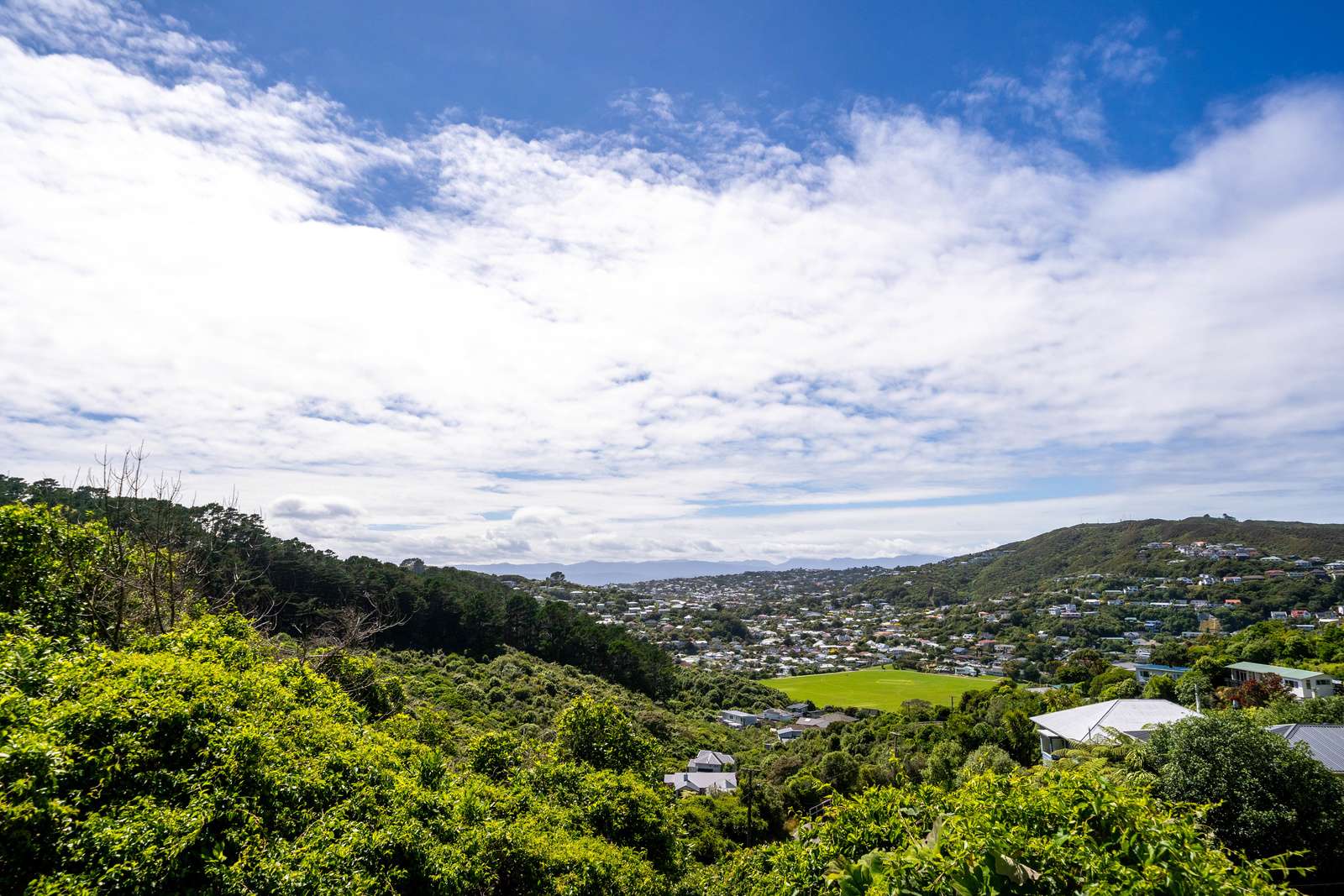 129 Makara Road photo 22