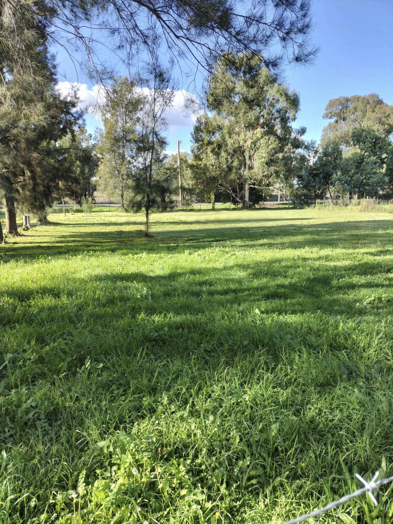 29-33 Buckenbah Street, Geurie, NSW 2818