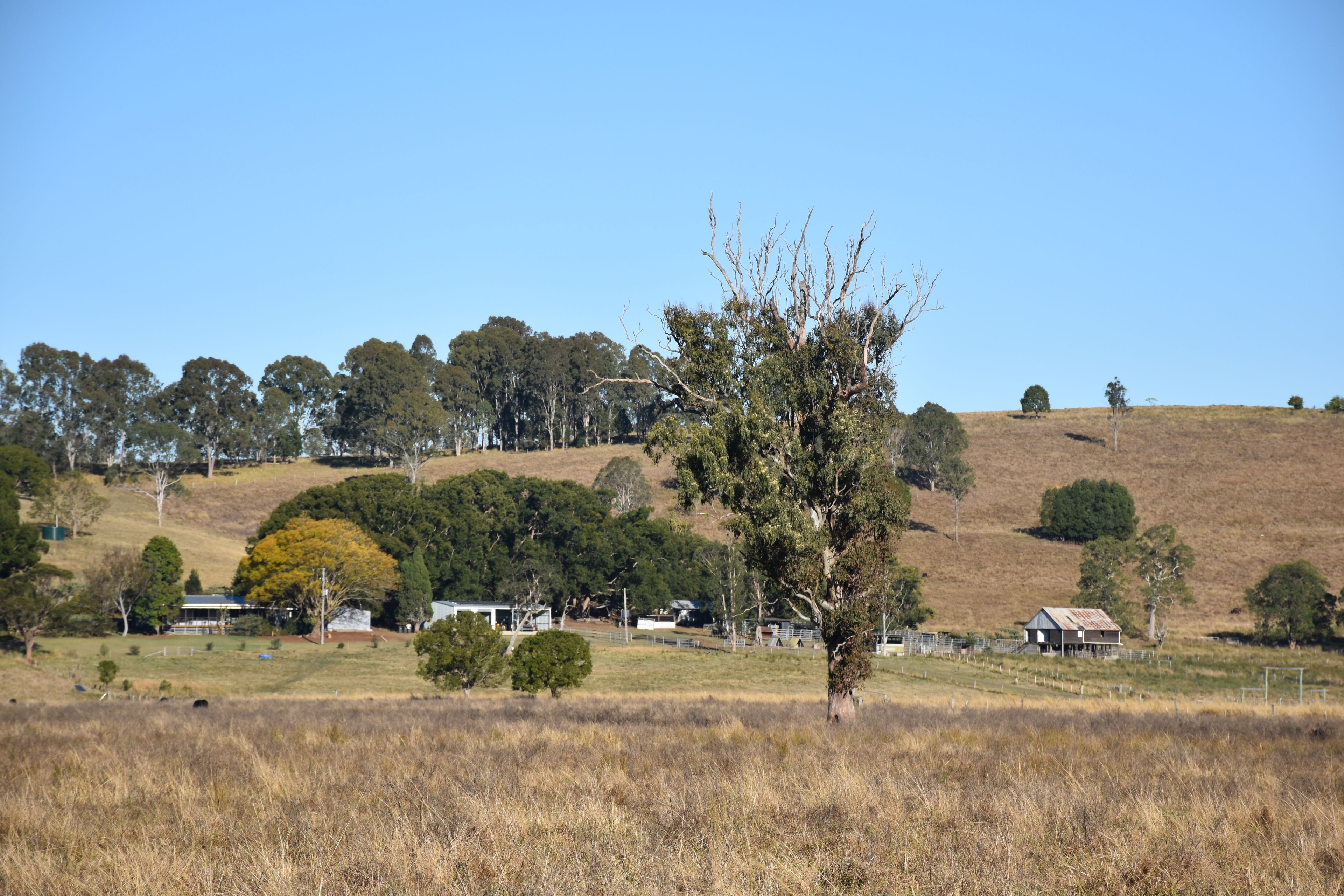 Rural Real Estate Casino Nsw