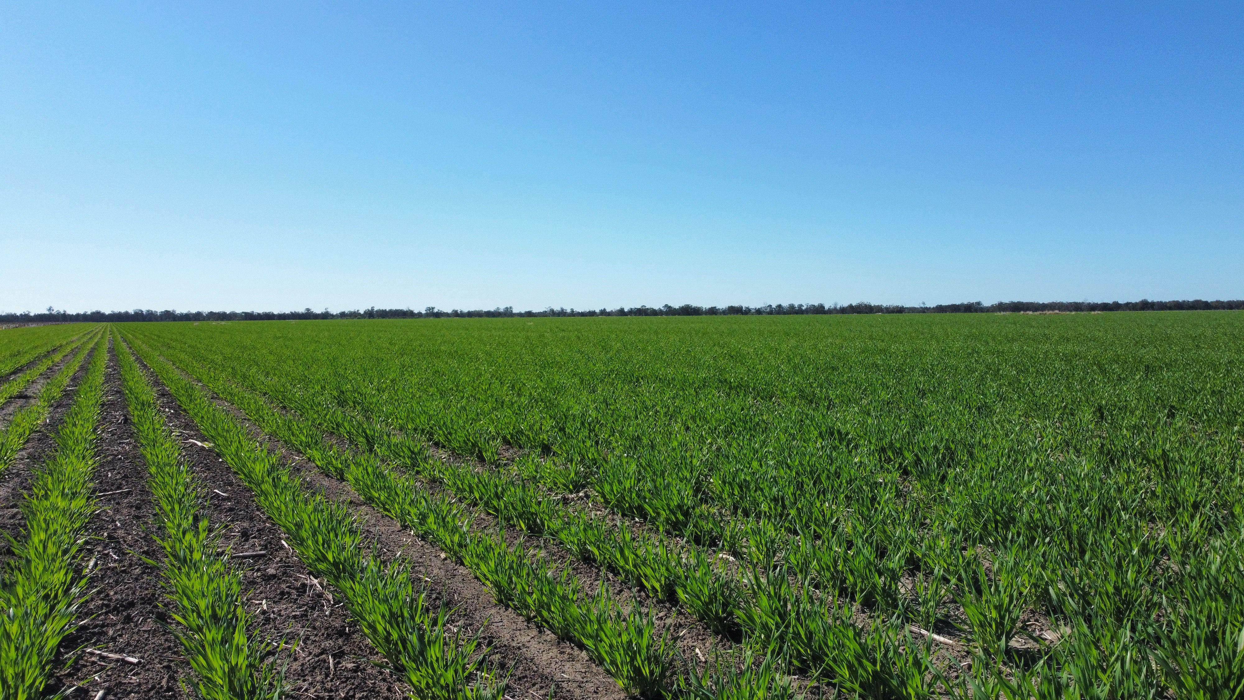 86 Swifts Road, Tulloona, NSW 2400