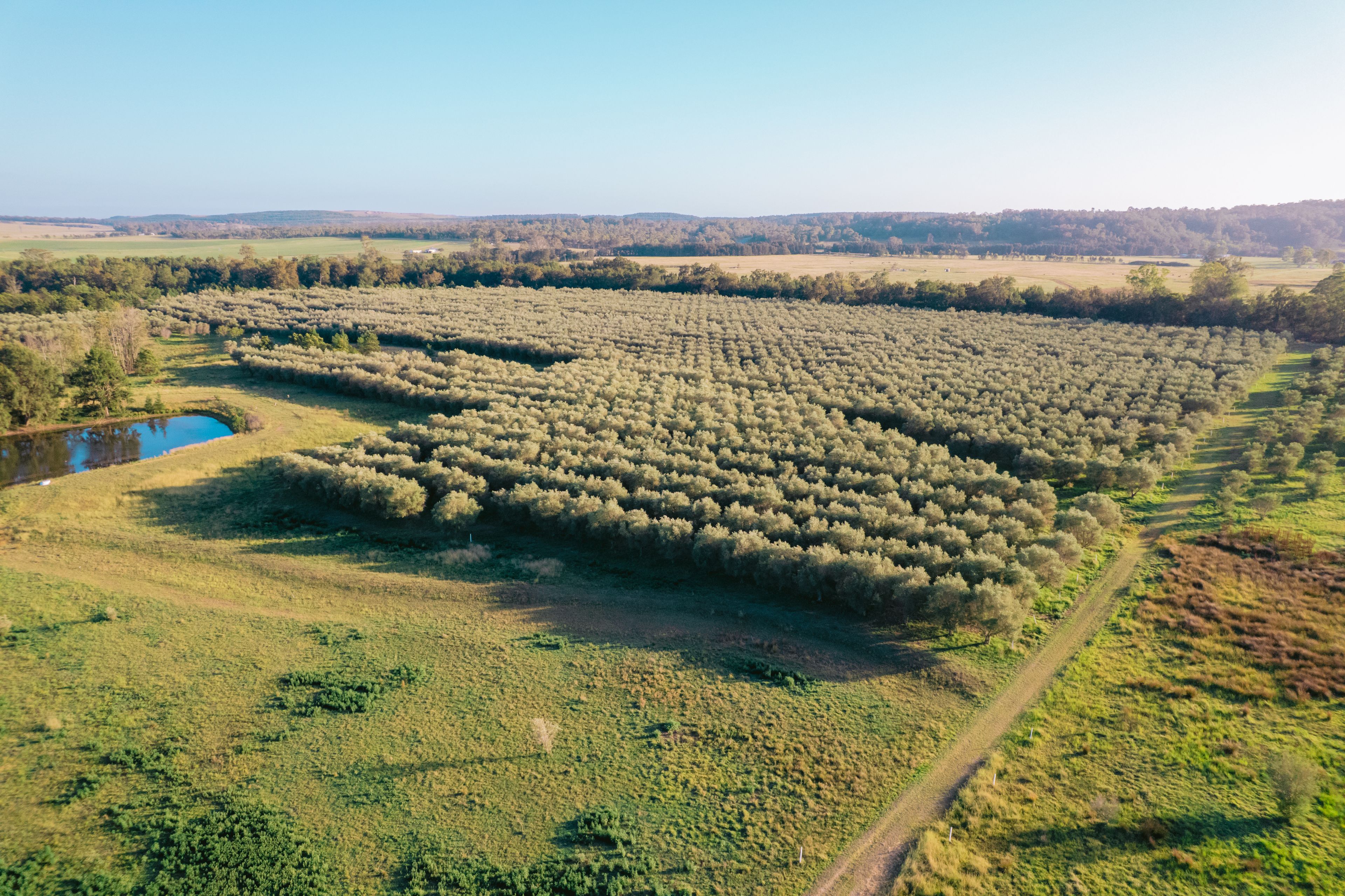 158-166 Hill Street, Broke, NSW 2330