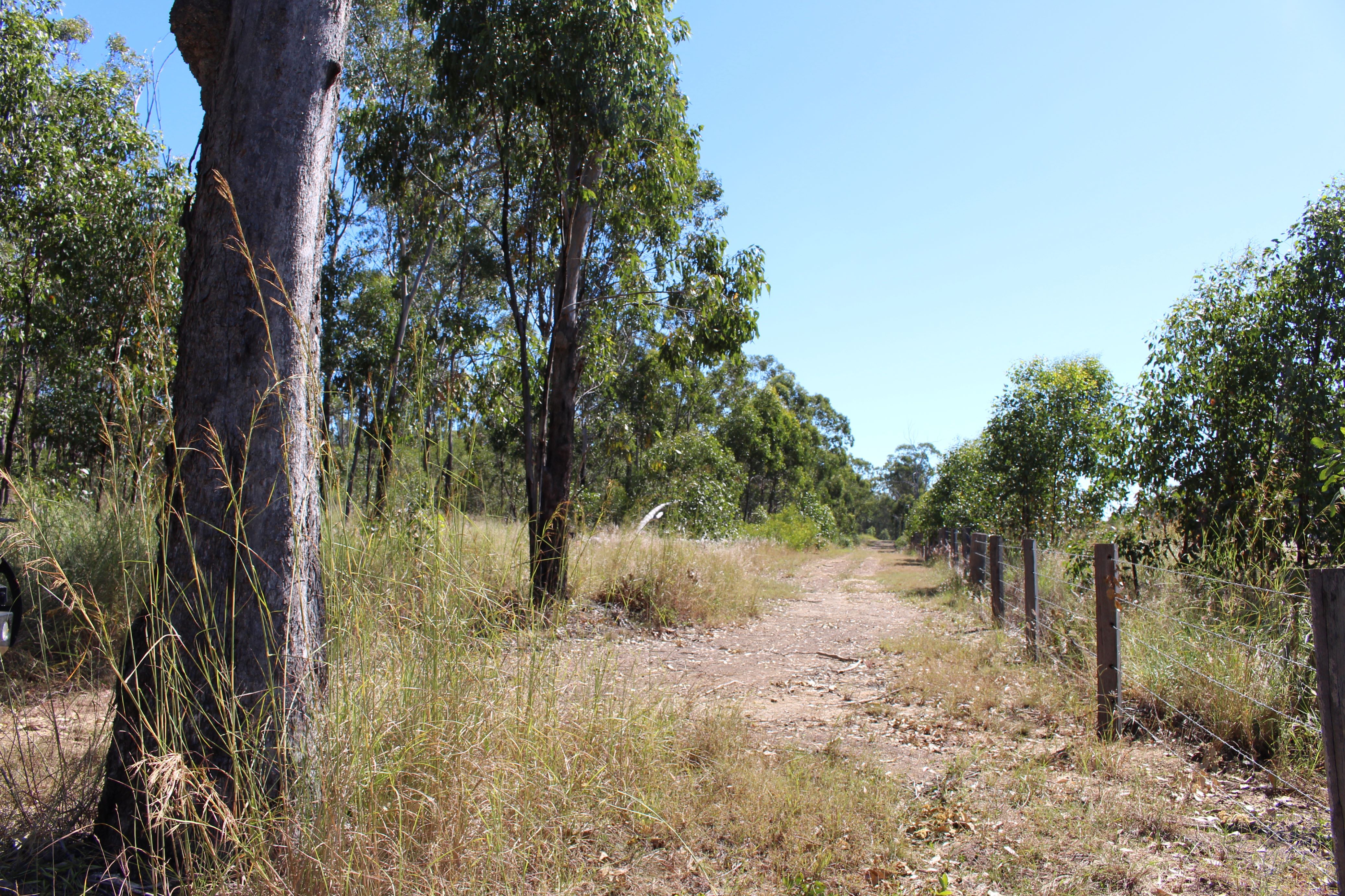 53821 Bruce Highway — photo 8 of 25