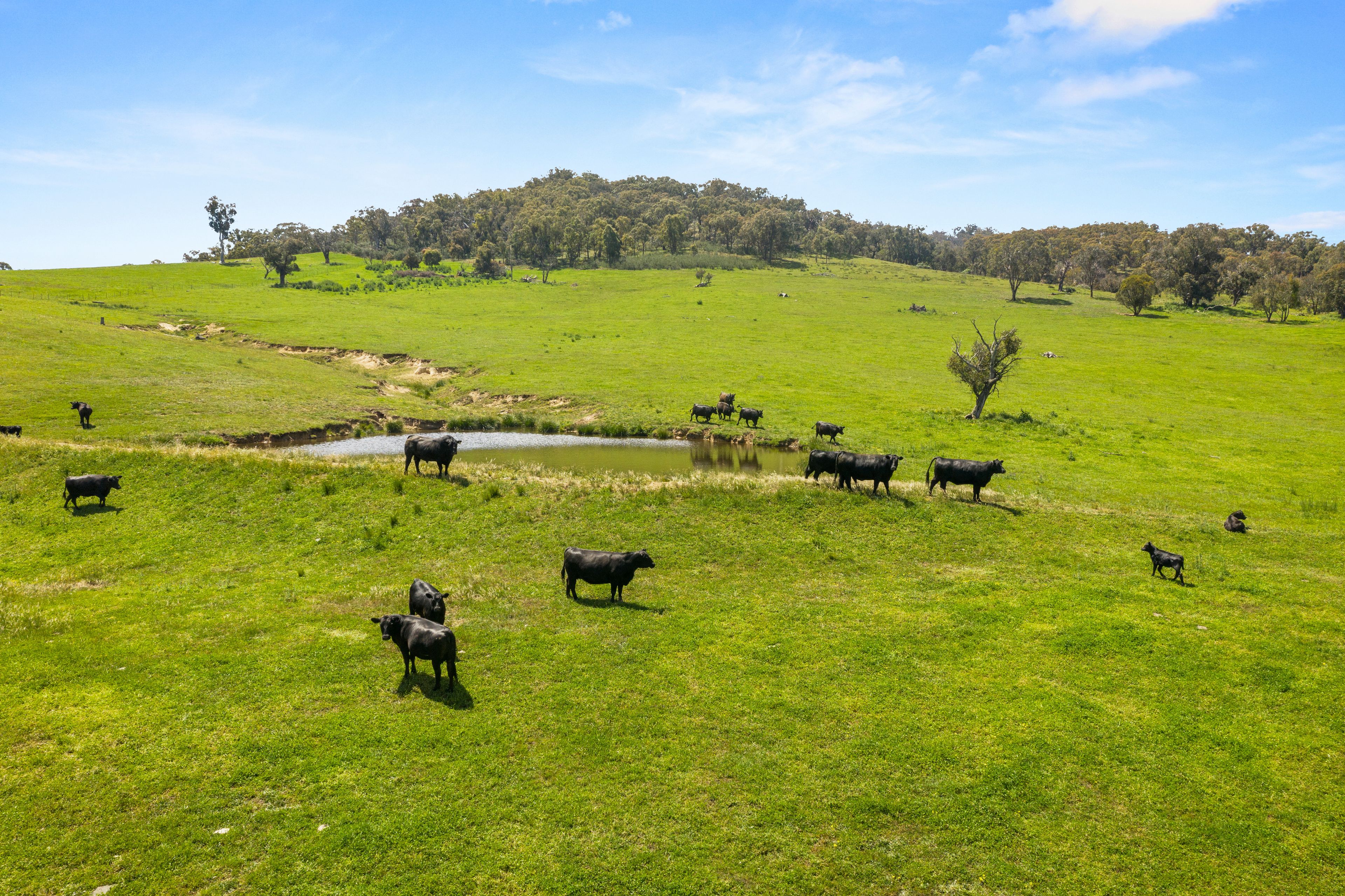 511 Cooksvale Road, Crookwell, NSW 2583