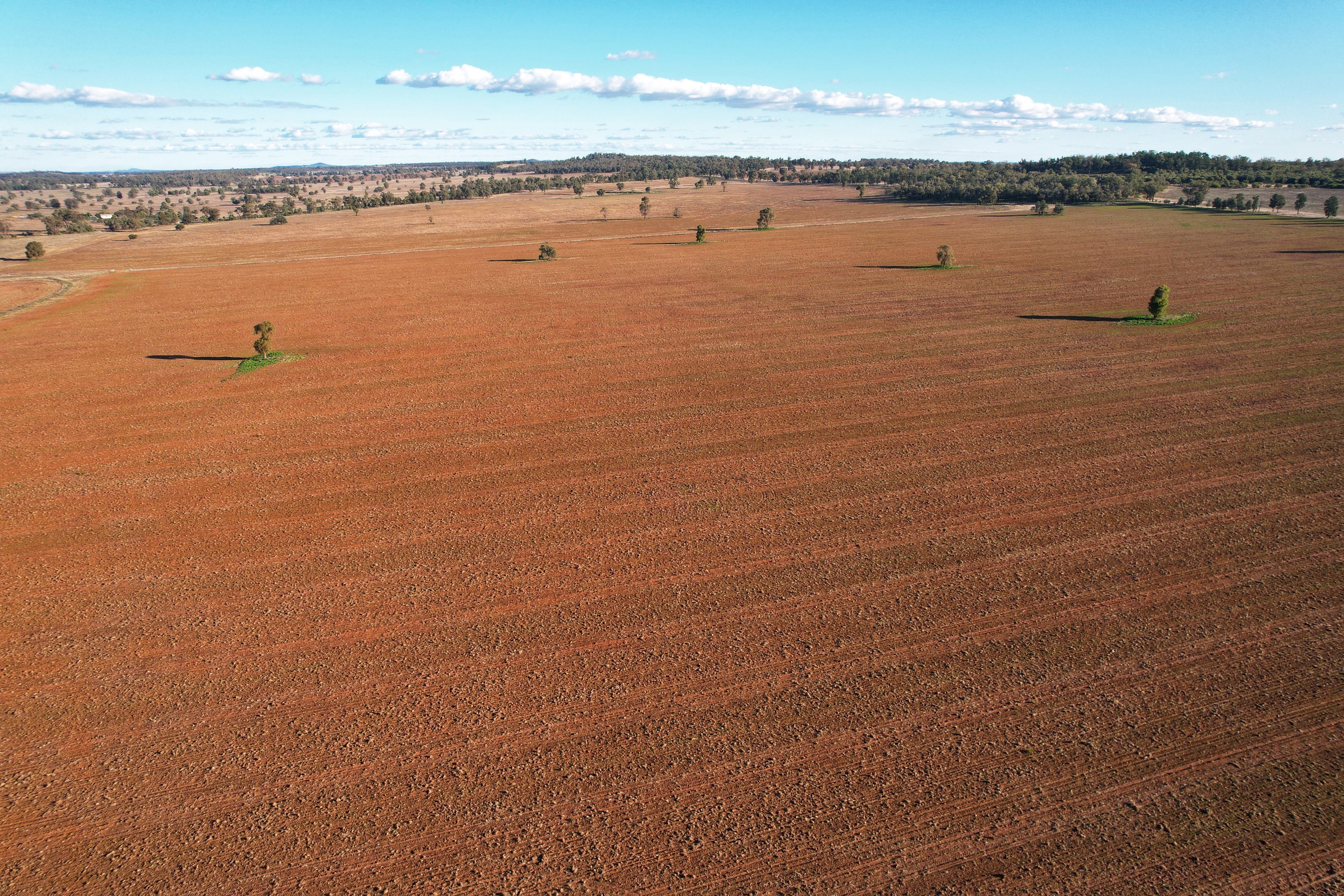 'Gleneda'/426 Fitzgerald Road, Burcher, NSW 2671