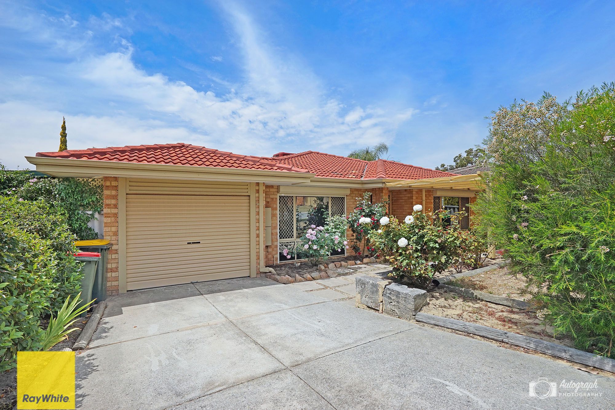 19 Floribunda Gardens, Mirrabooka, WA 6061