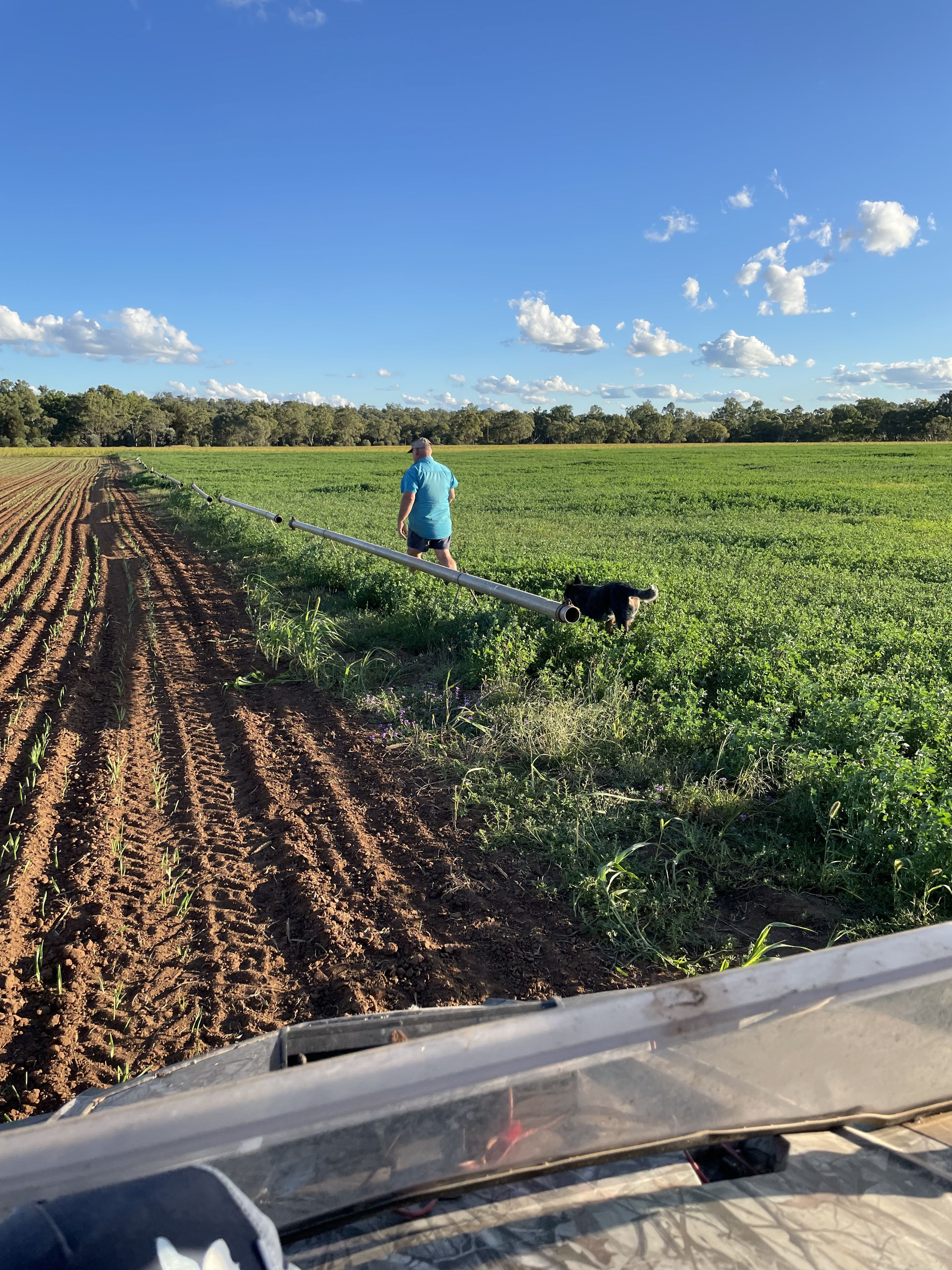 689 Mount Myrtle Road, Miles, QLD 4415 Rural Cropping Property for