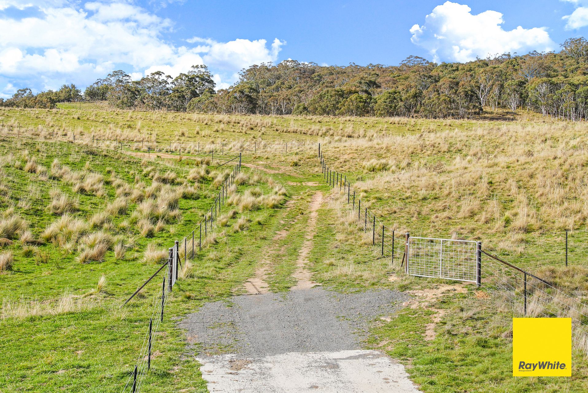 171 Willandra Lane, Tarago, NSW 2580 Land for Sale Ray White Bungendore