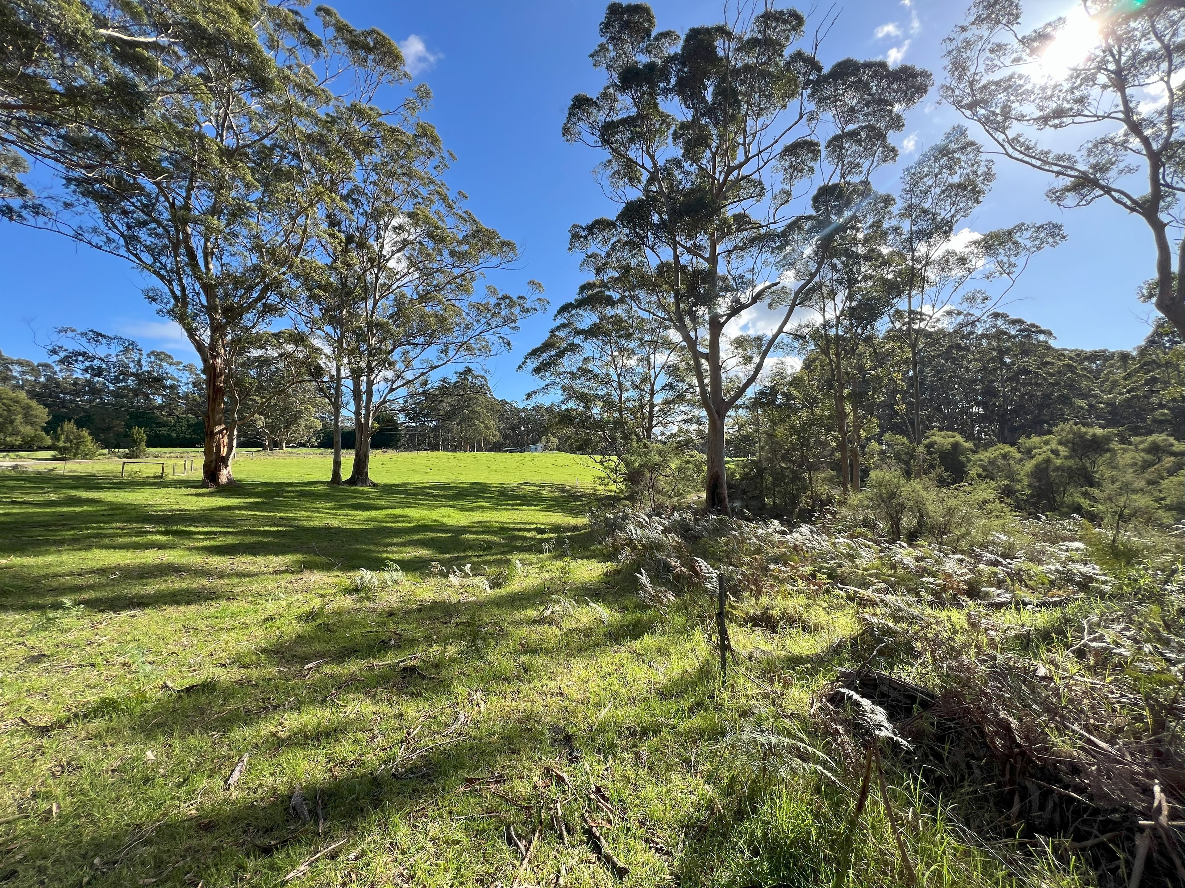 47 Pittam Way, Shadforth, WA 6333 - Sold Rural Lifestyle Property - Ray ...