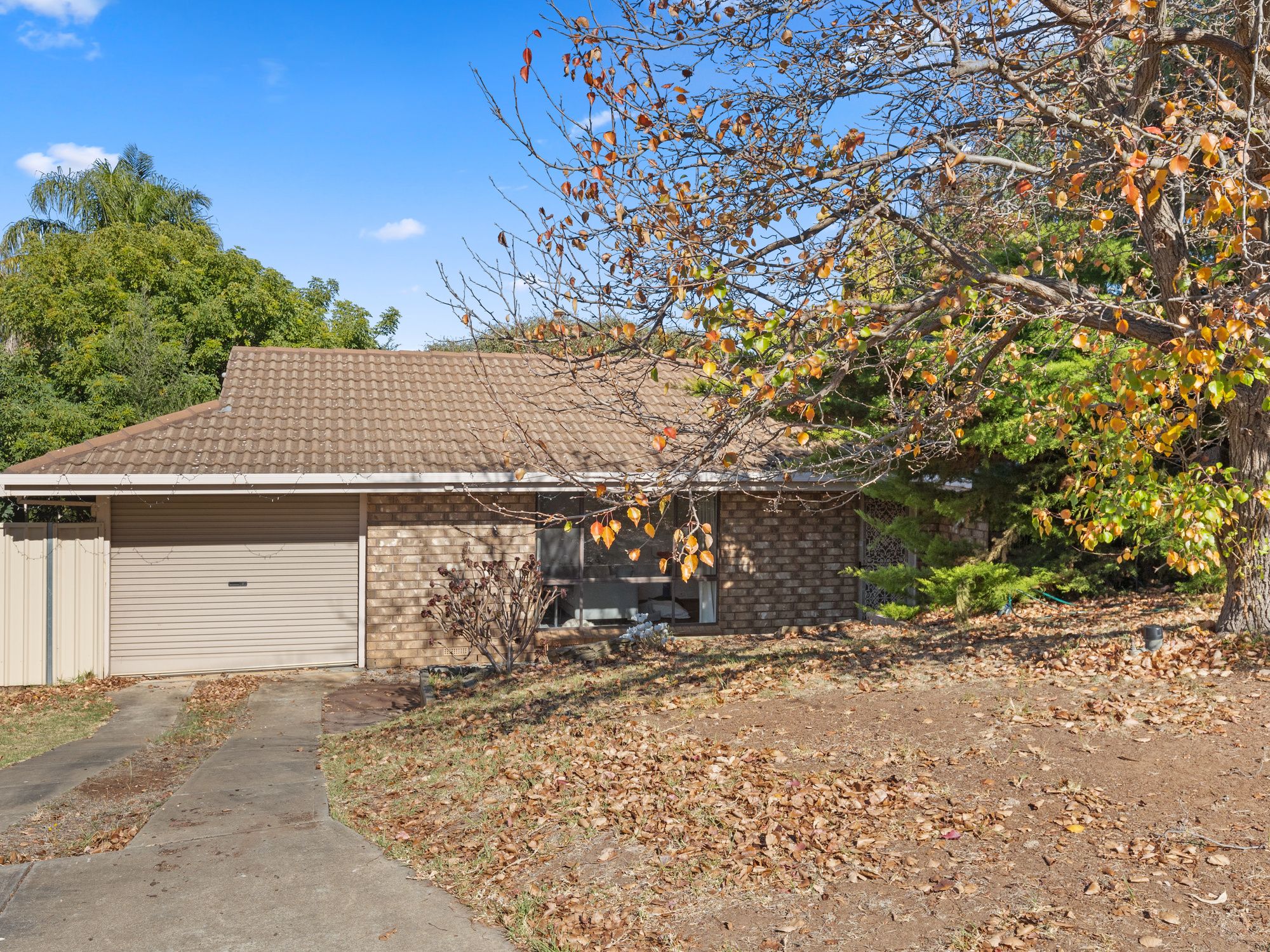 11 Mellors Avenue, O'Halloran Hill, SA 5158